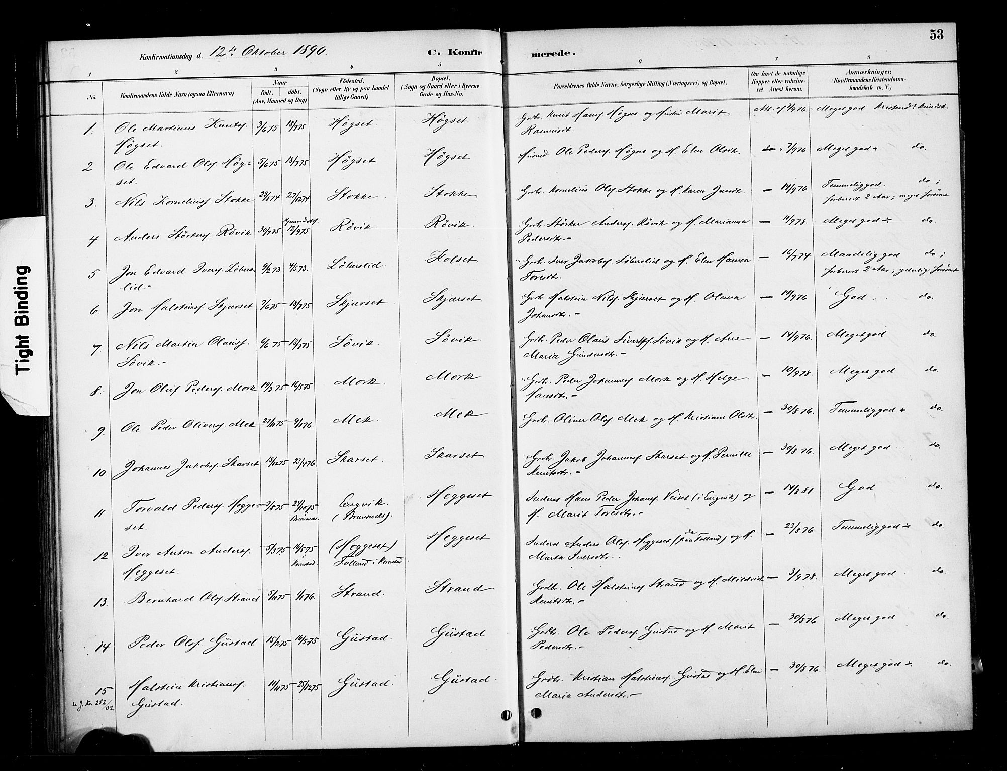 Ministerialprotokoller, klokkerbøker og fødselsregistre - Møre og Romsdal, SAT/A-1454/568/L0809: Parish register (official) no. 568A13, 1884-1900, p. 53