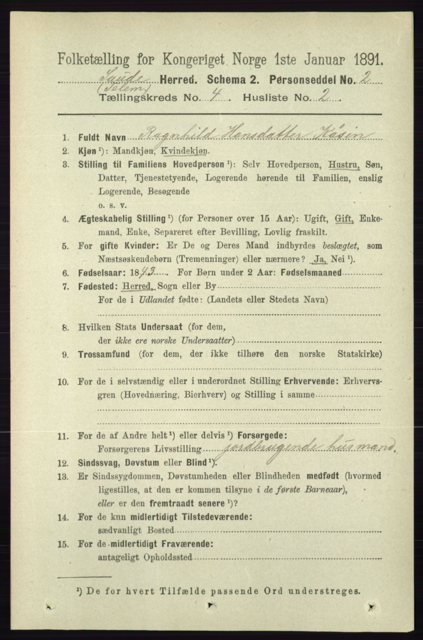 RA, 1891 census for 0822 Sauherad, 1891, p. 1102