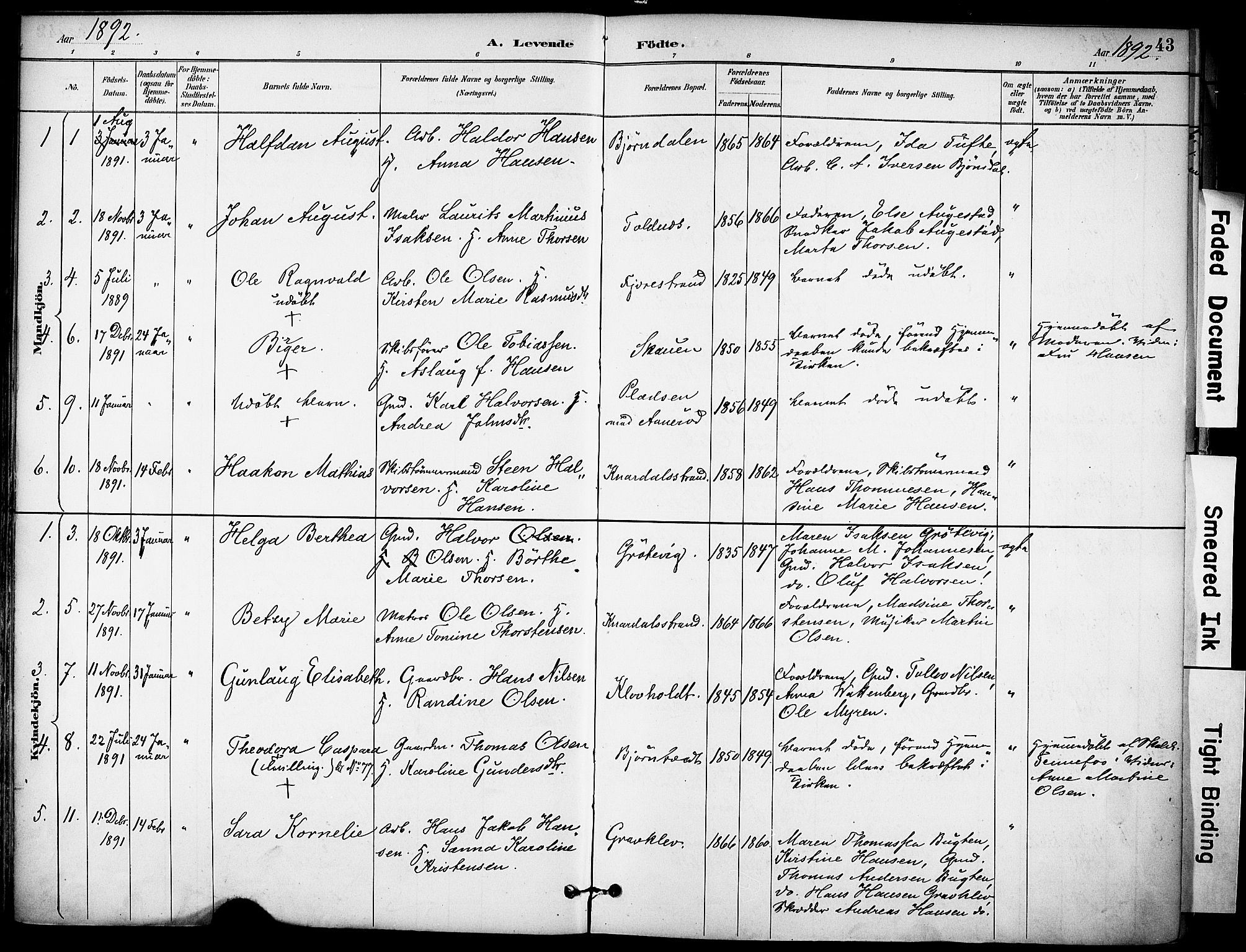Solum kirkebøker, SAKO/A-306/F/Fa/L0010: Parish register (official) no. I 10, 1888-1898, p. 43