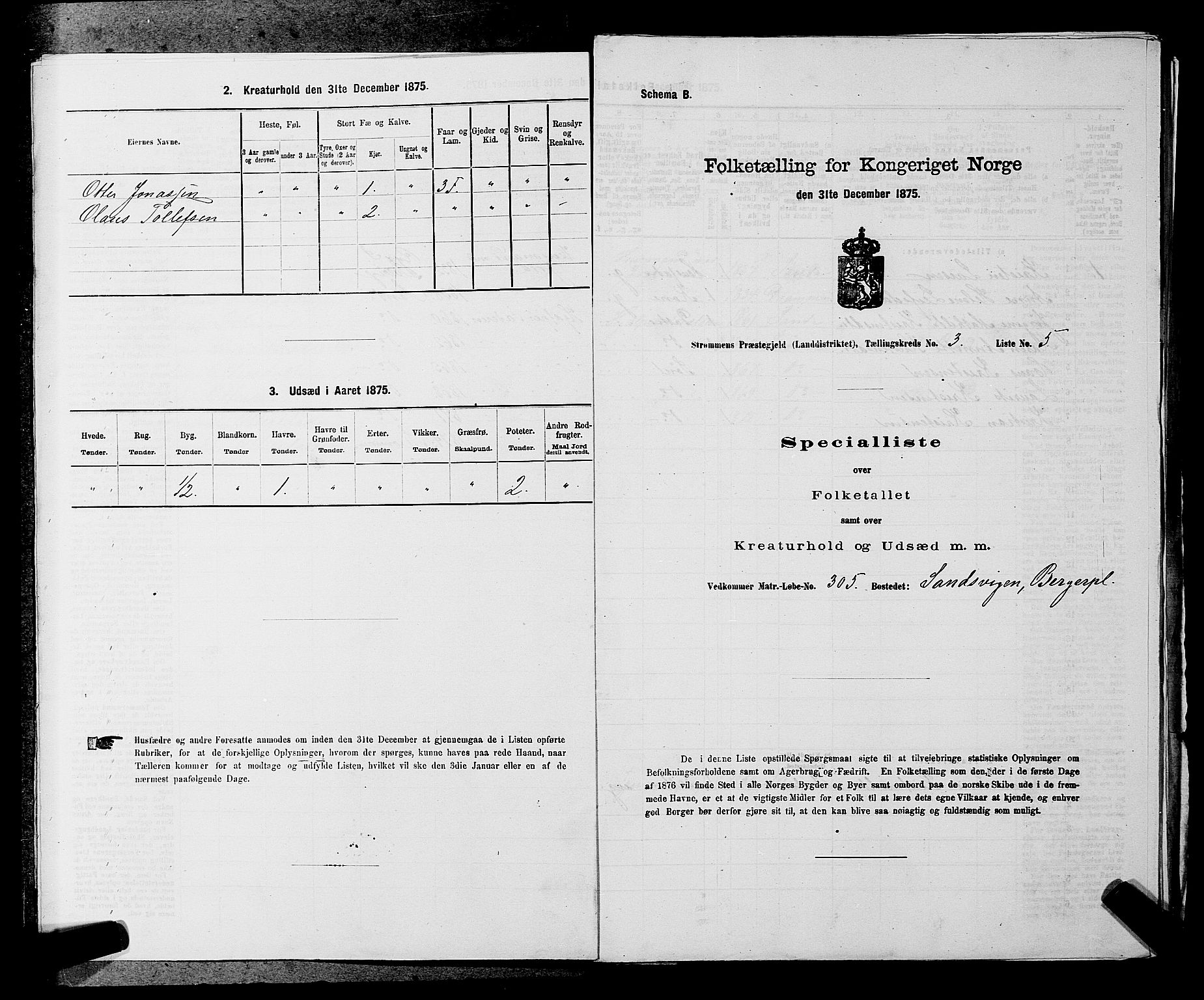 SAKO, 1875 census for 0711L Strømm/Strømm, 1875, p. 390