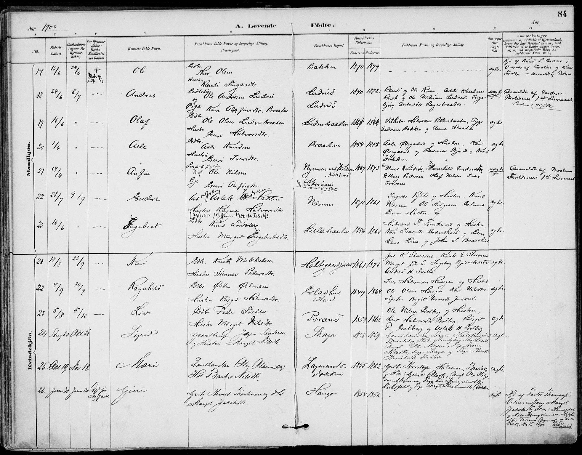 Gol kirkebøker, AV/SAKO-A-226/F/Fa/L0005: Parish register (official) no. I 5, 1887-1900, p. 84