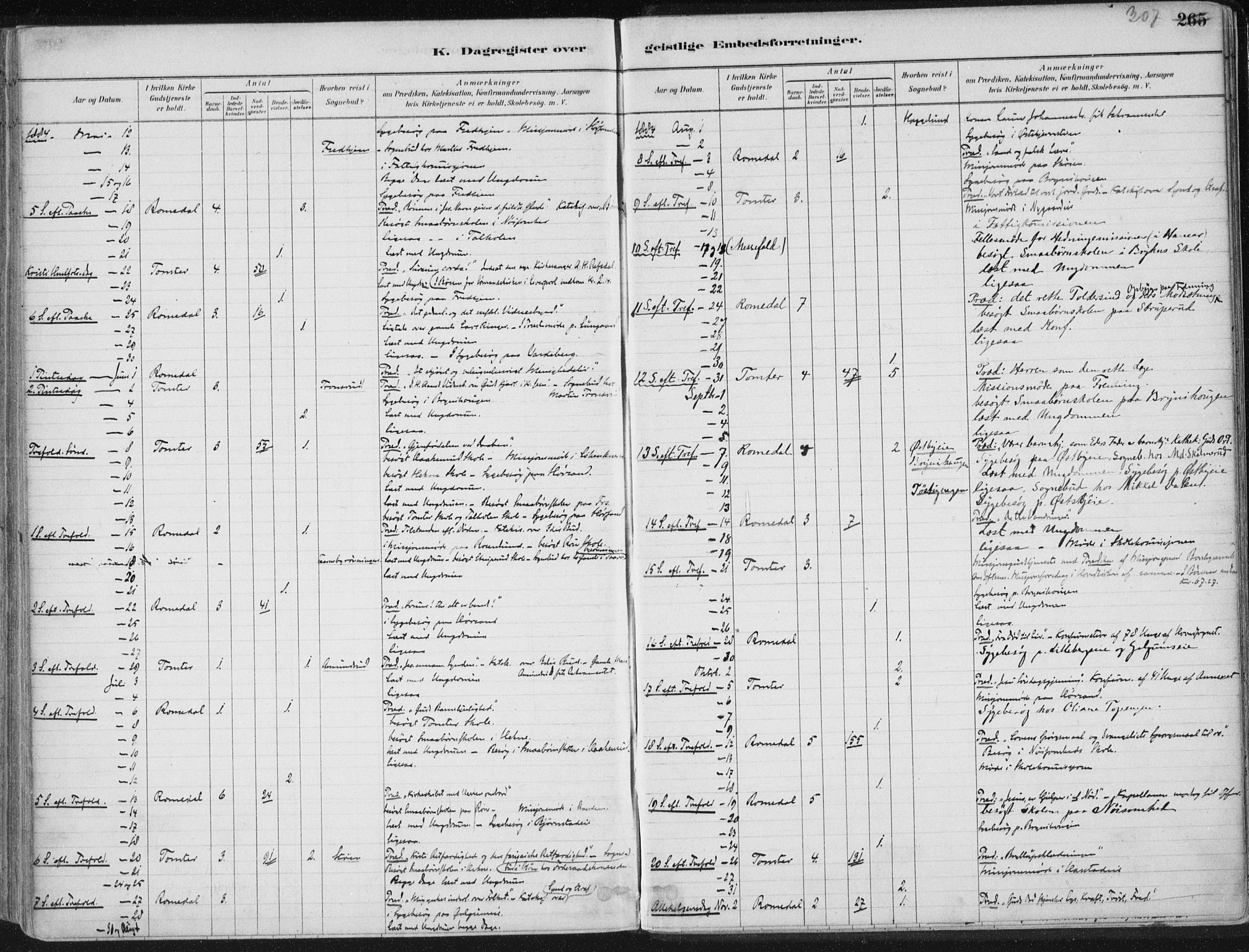 Romedal prestekontor, AV/SAH-PREST-004/K/L0010: Parish register (official) no. 10, 1880-1895, p. 307