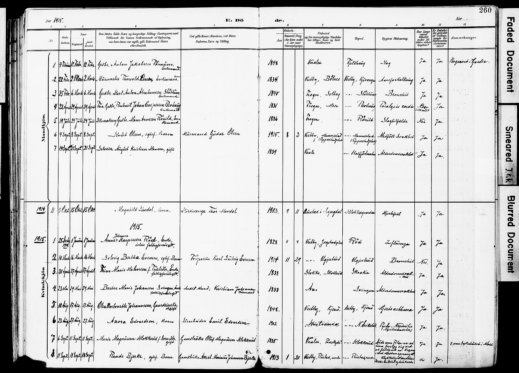 Vestby prestekontor Kirkebøker, SAO/A-10893/F/Fa/L0010: Parish register (official) no. I 10, 1900-1926, p. 260