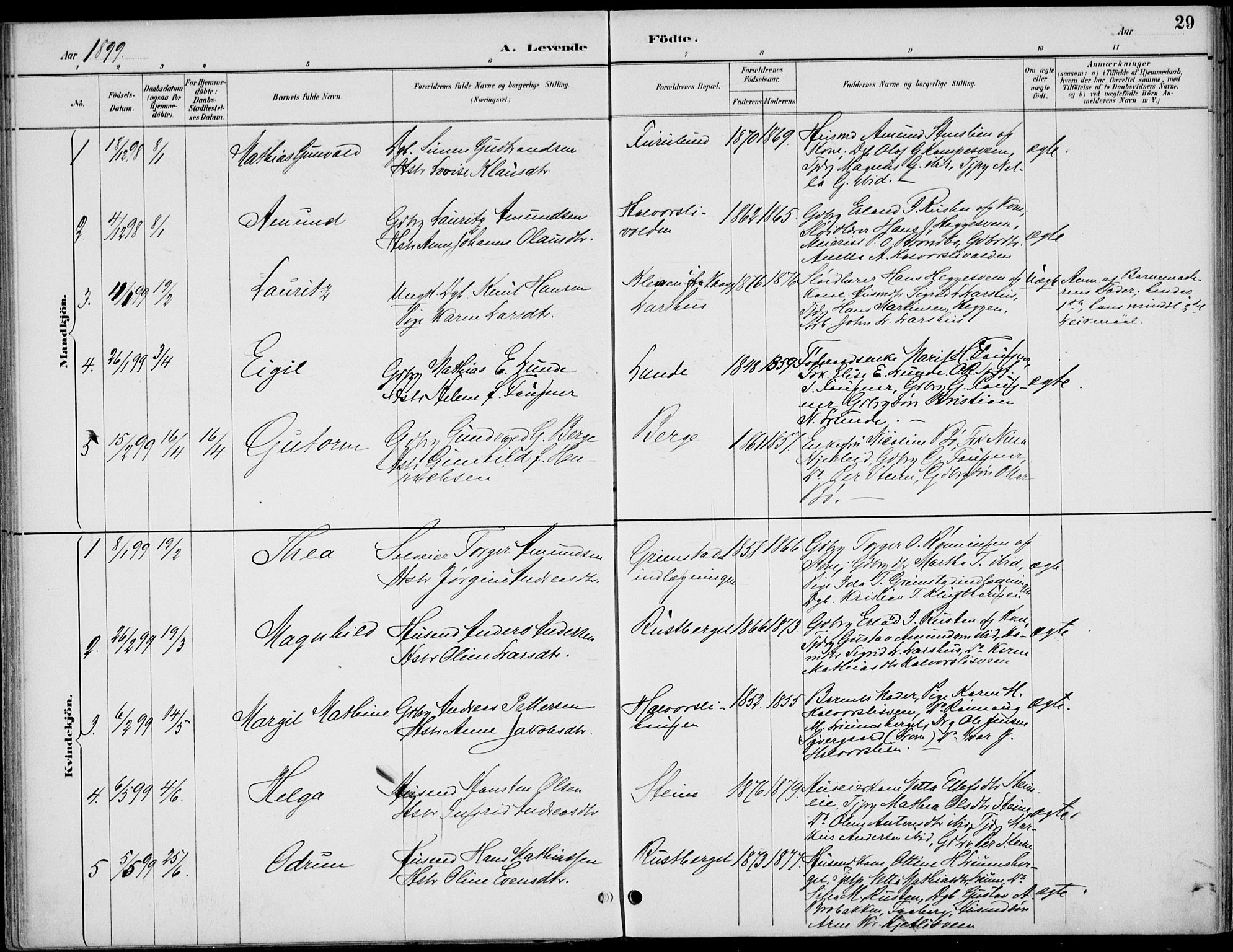 Østre Gausdal prestekontor, SAH/PREST-092/H/Ha/Haa/L0003: Parish register (official) no. 3, 1887-1901, p. 29
