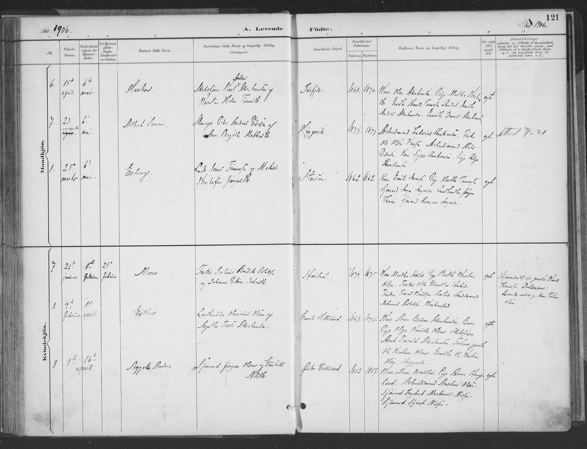 Høvåg sokneprestkontor, AV/SAK-1111-0025/F/Fa/L0006: Parish register (official) no. A 6, 1894-1923, p. 121