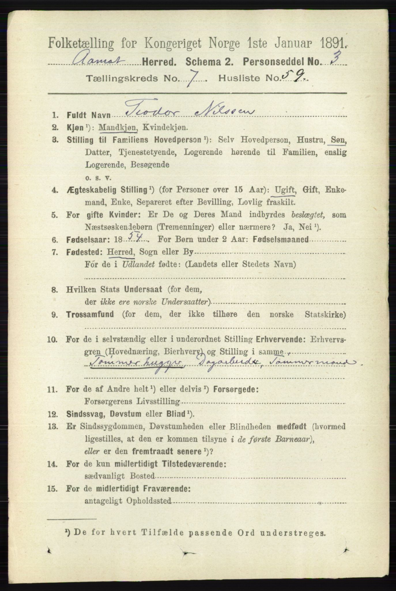 RA, 1891 census for 0429 Åmot, 1891, p. 3294