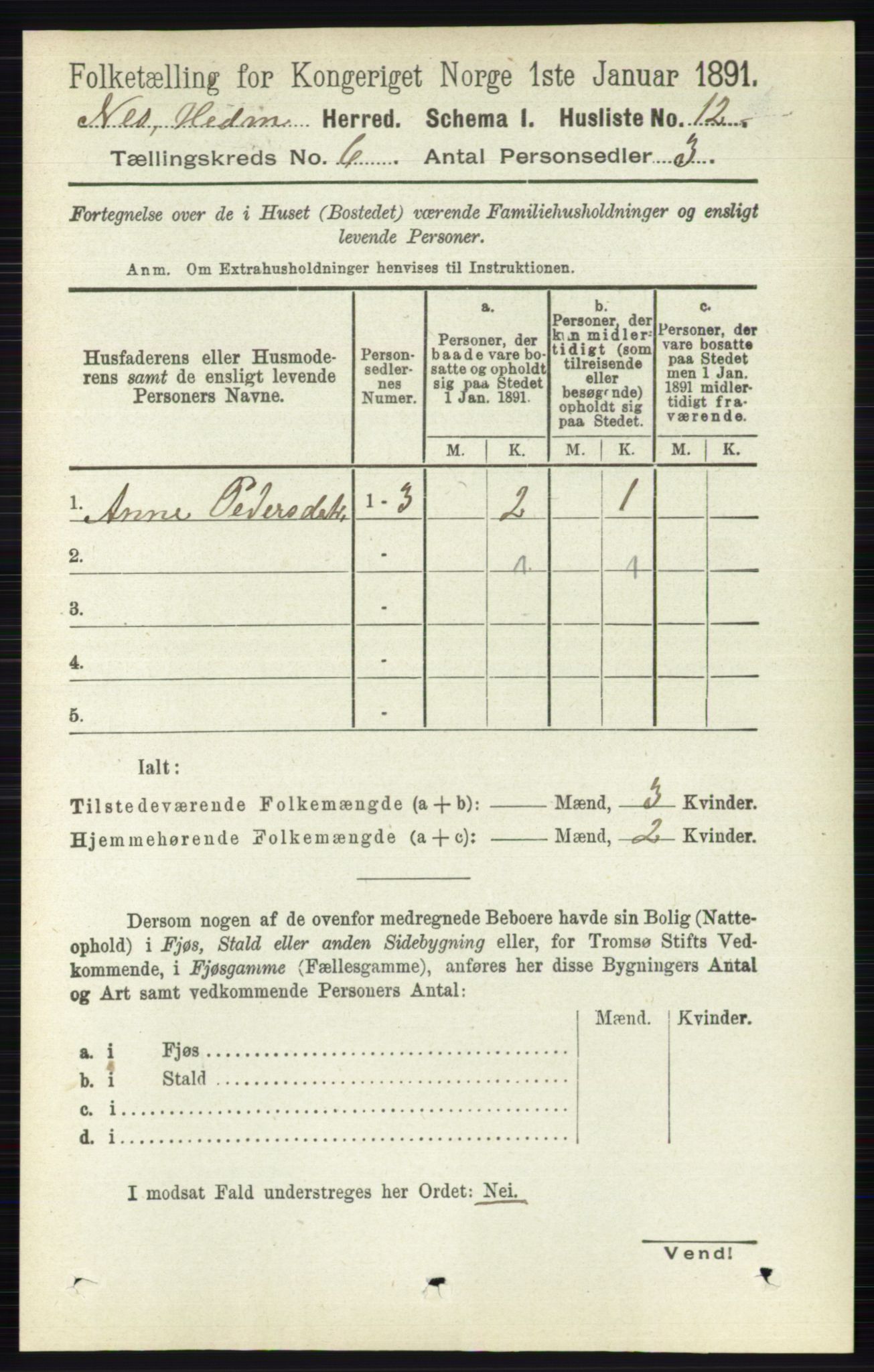 RA, 1891 census for 0411 Nes, 1891, p. 3180