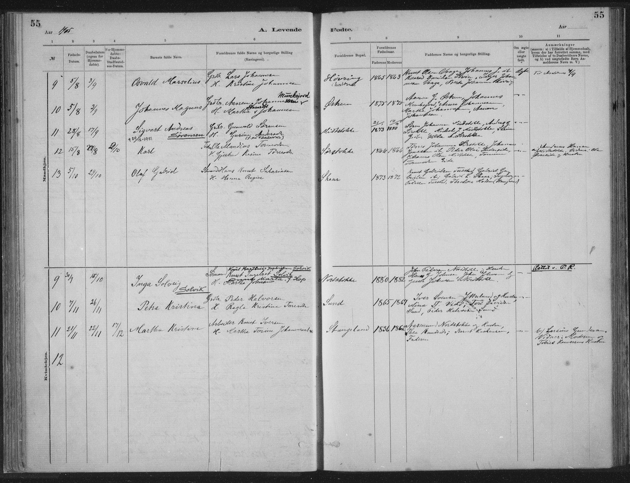 Kopervik sokneprestkontor, AV/SAST-A-101850/H/Ha/Haa/L0002: Parish register (official) no. A 2, 1880-1912, p. 55