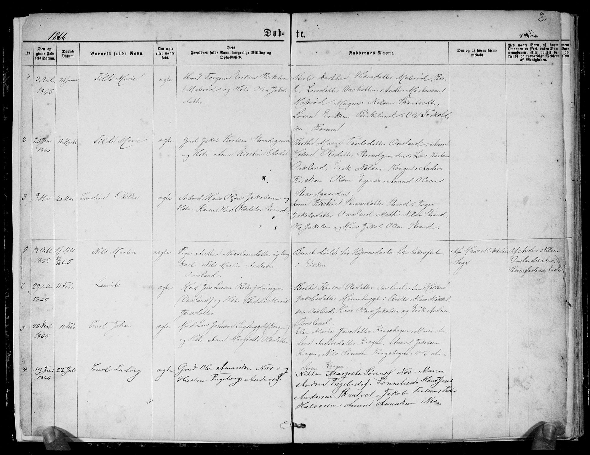 Brunlanes kirkebøker, AV/SAKO-A-342/G/Gc/L0001: Parish register (copy) no. III 1, 1866-1890, p. 2