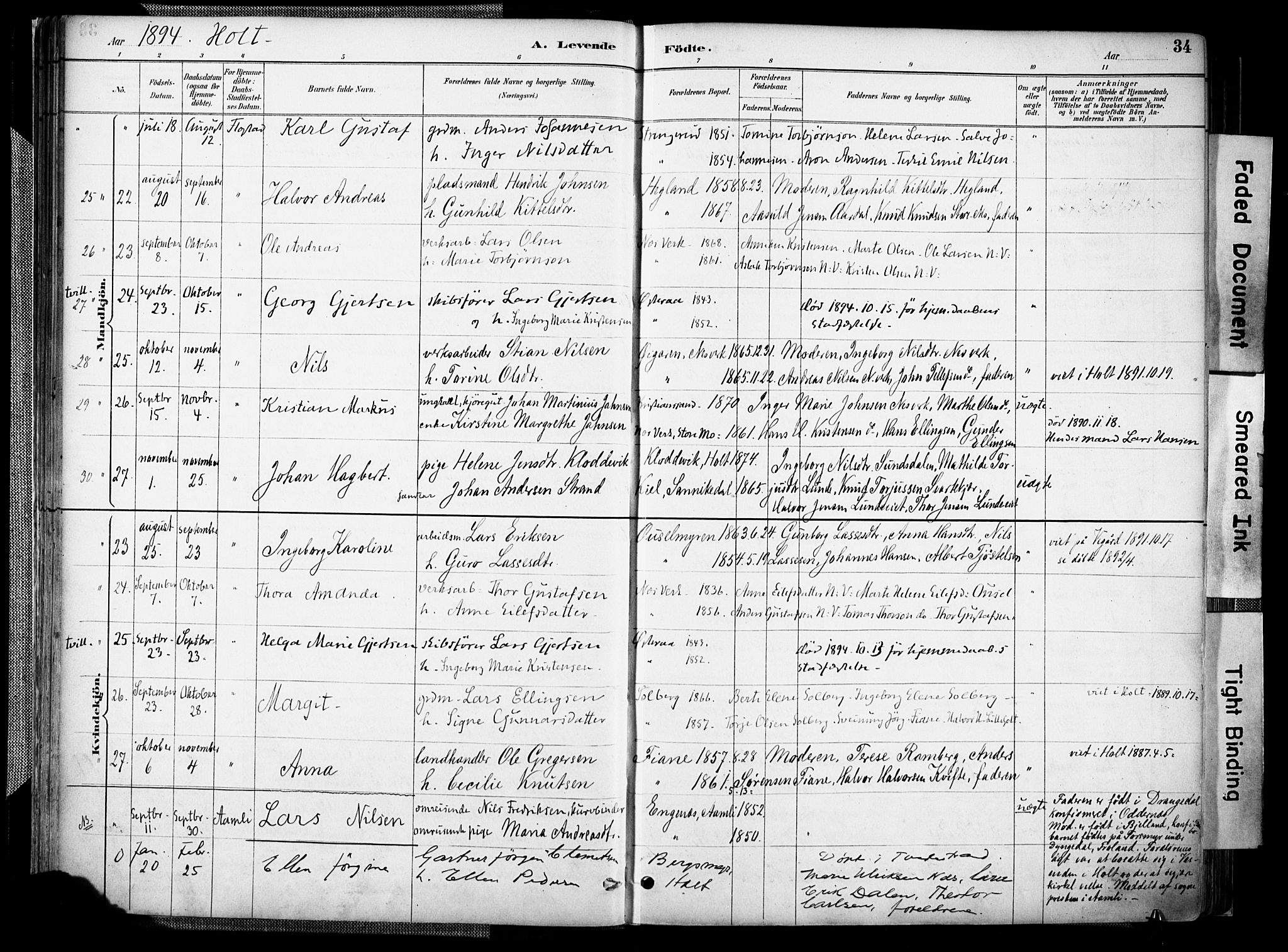 Holt sokneprestkontor, AV/SAK-1111-0021/F/Fa/L0012: Parish register (official) no. A 12, 1885-1907, p. 34