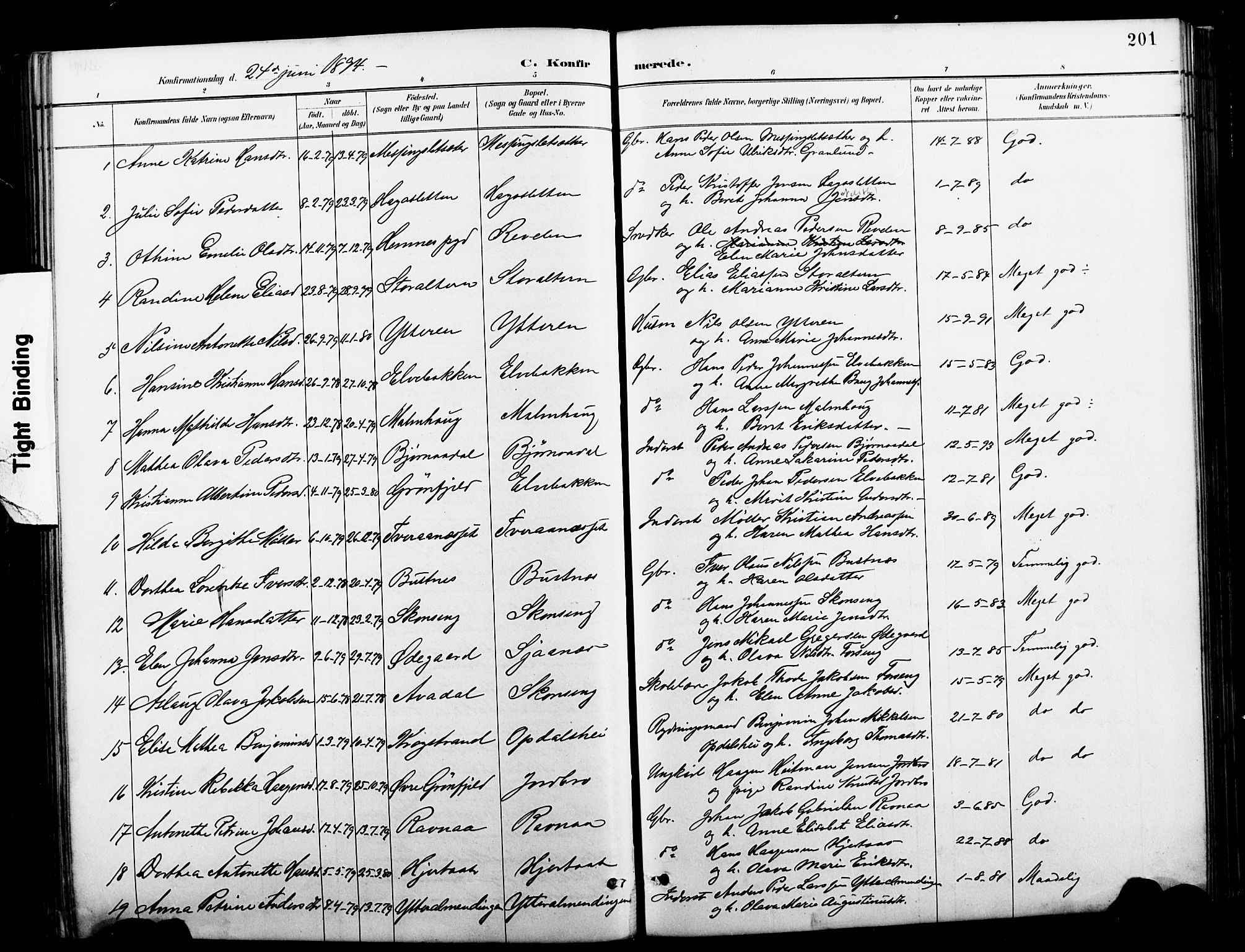 Ministerialprotokoller, klokkerbøker og fødselsregistre - Nordland, AV/SAT-A-1459/827/L0421: Parish register (copy) no. 827C10, 1887-1906, p. 201