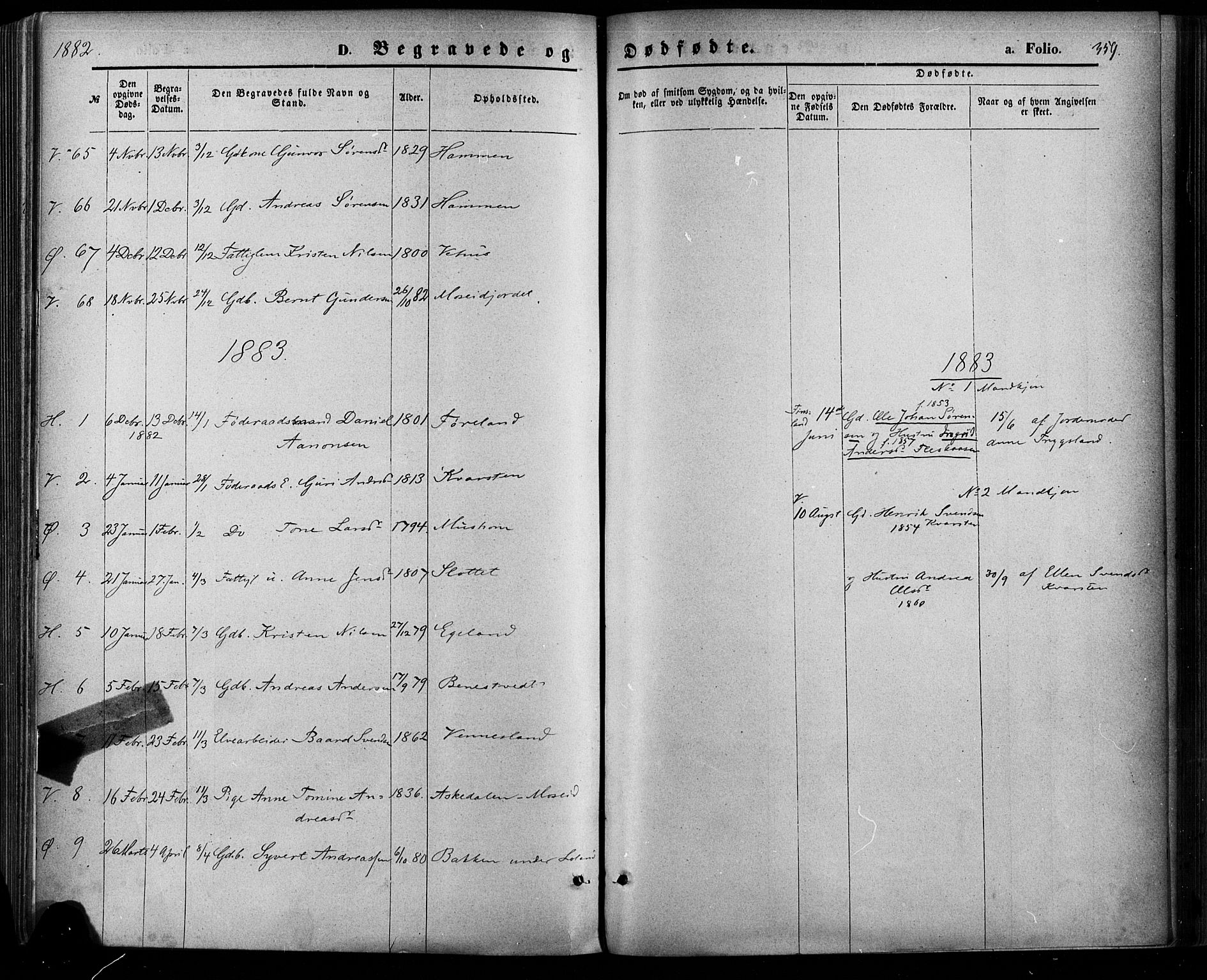 Vennesla sokneprestkontor, AV/SAK-1111-0045/Fa/Fac/L0008: Parish register (official) no. A 8, 1874-1883, p. 359