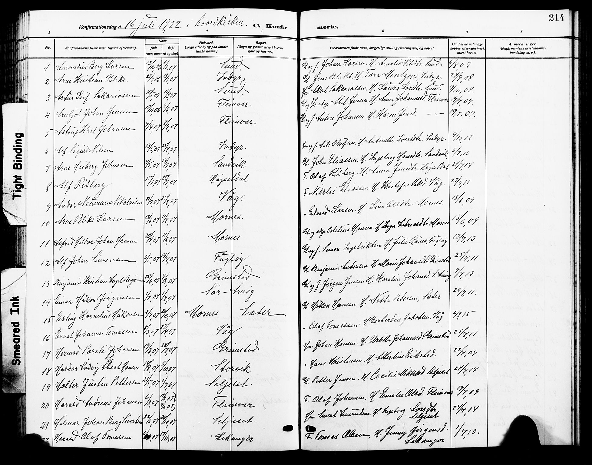 Ministerialprotokoller, klokkerbøker og fødselsregistre - Nordland, SAT/A-1459/805/L0110: Parish register (copy) no. 805C06, 1909-1924, p. 214