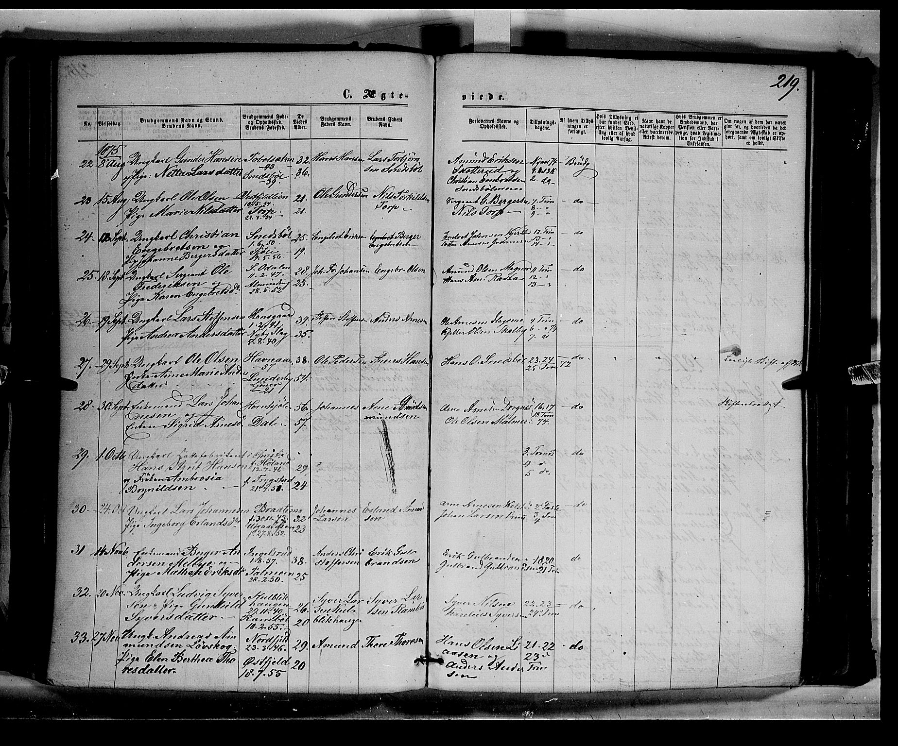 Eidskog prestekontor, AV/SAH-PREST-026/H/Ha/Haa/L0002: Parish register (official) no. 2, 1867-1878, p. 219