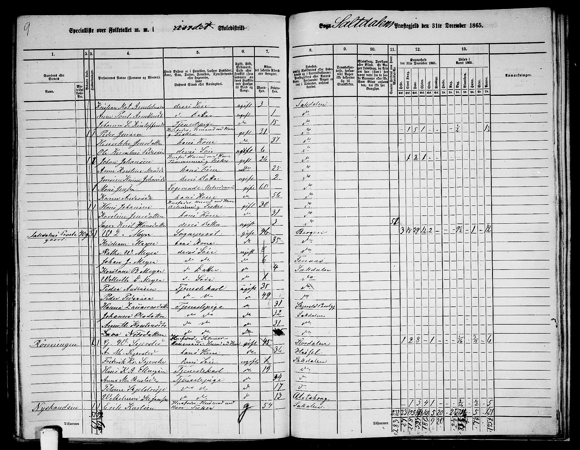 RA, 1865 census for Saltdal, 1865, p. 50