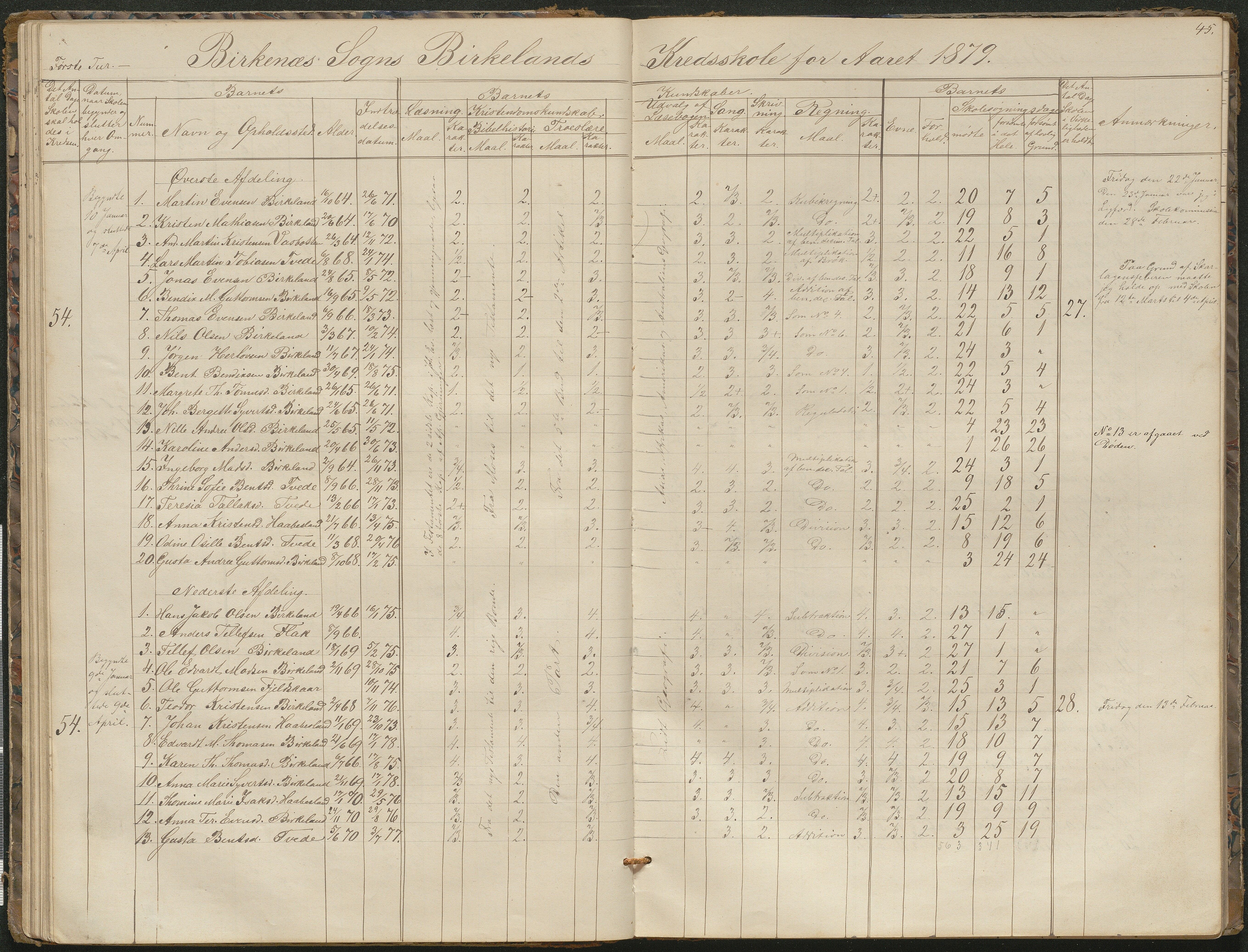 Birkenes kommune, Birkenes krets/Birkeland folkeskole frem til 1991, AAKS/KA0928-550a_91/F02/L0001: Skoleprotokoll, 1862-1896, p. 45