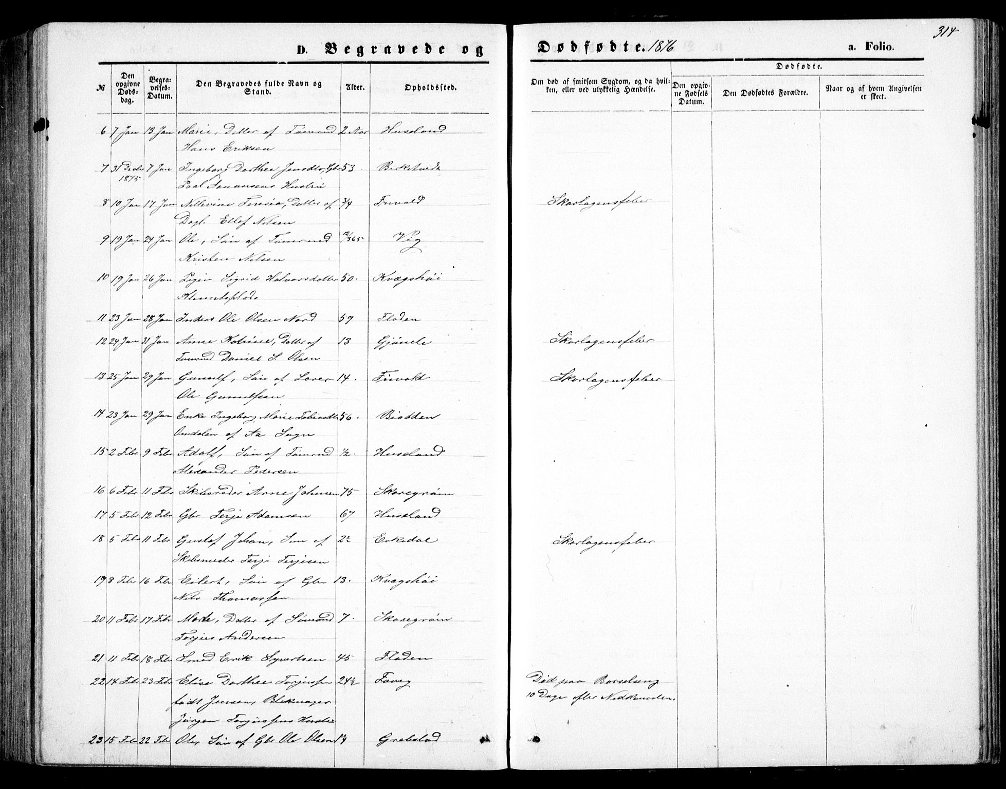 Fjære sokneprestkontor, AV/SAK-1111-0011/F/Fb/L0010: Parish register (copy) no. B 10, 1871-1880, p. 314