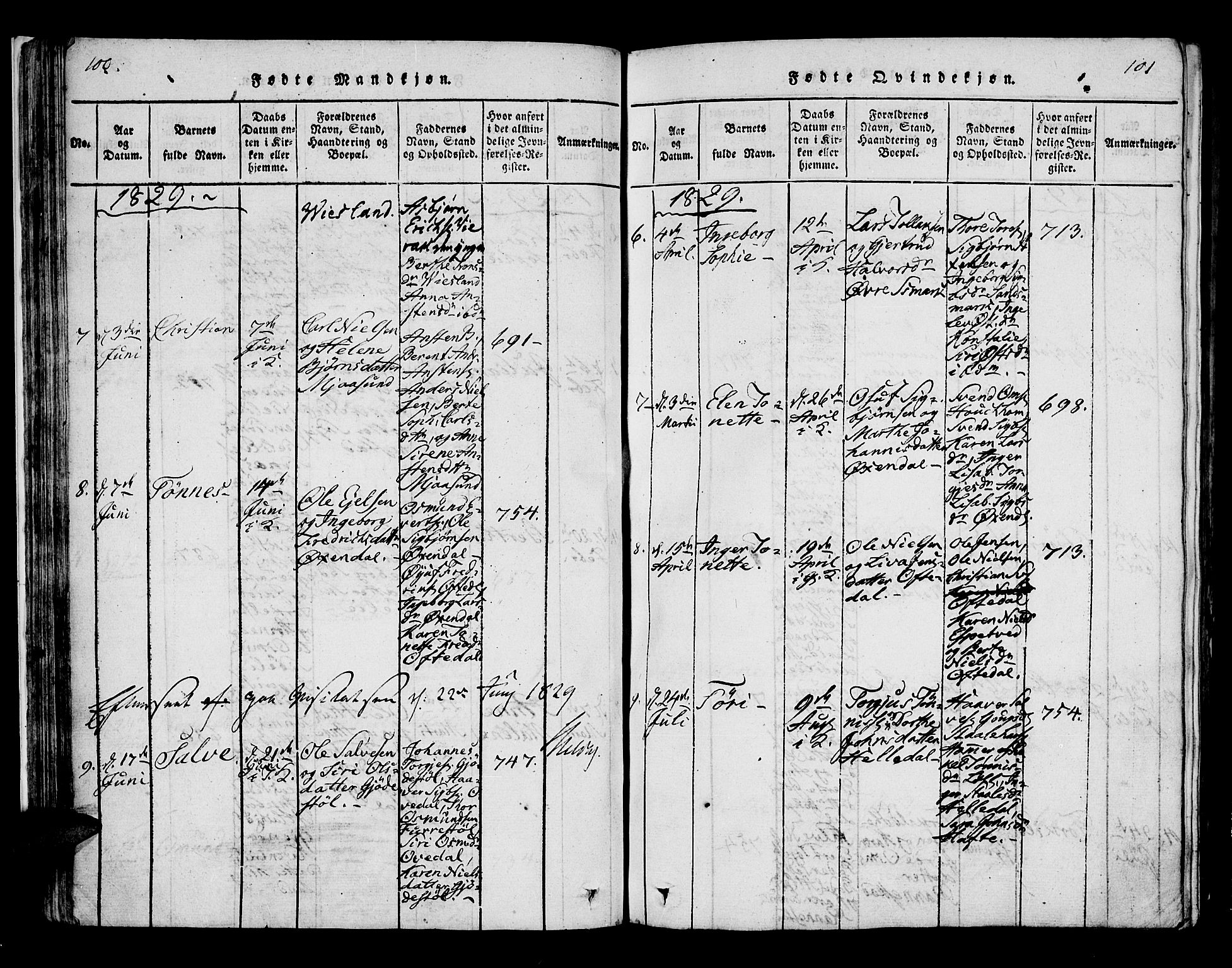 Bakke sokneprestkontor, AV/SAK-1111-0002/F/Fa/Faa/L0003: Parish register (official) no. A 3, 1815-1835, p. 100-101