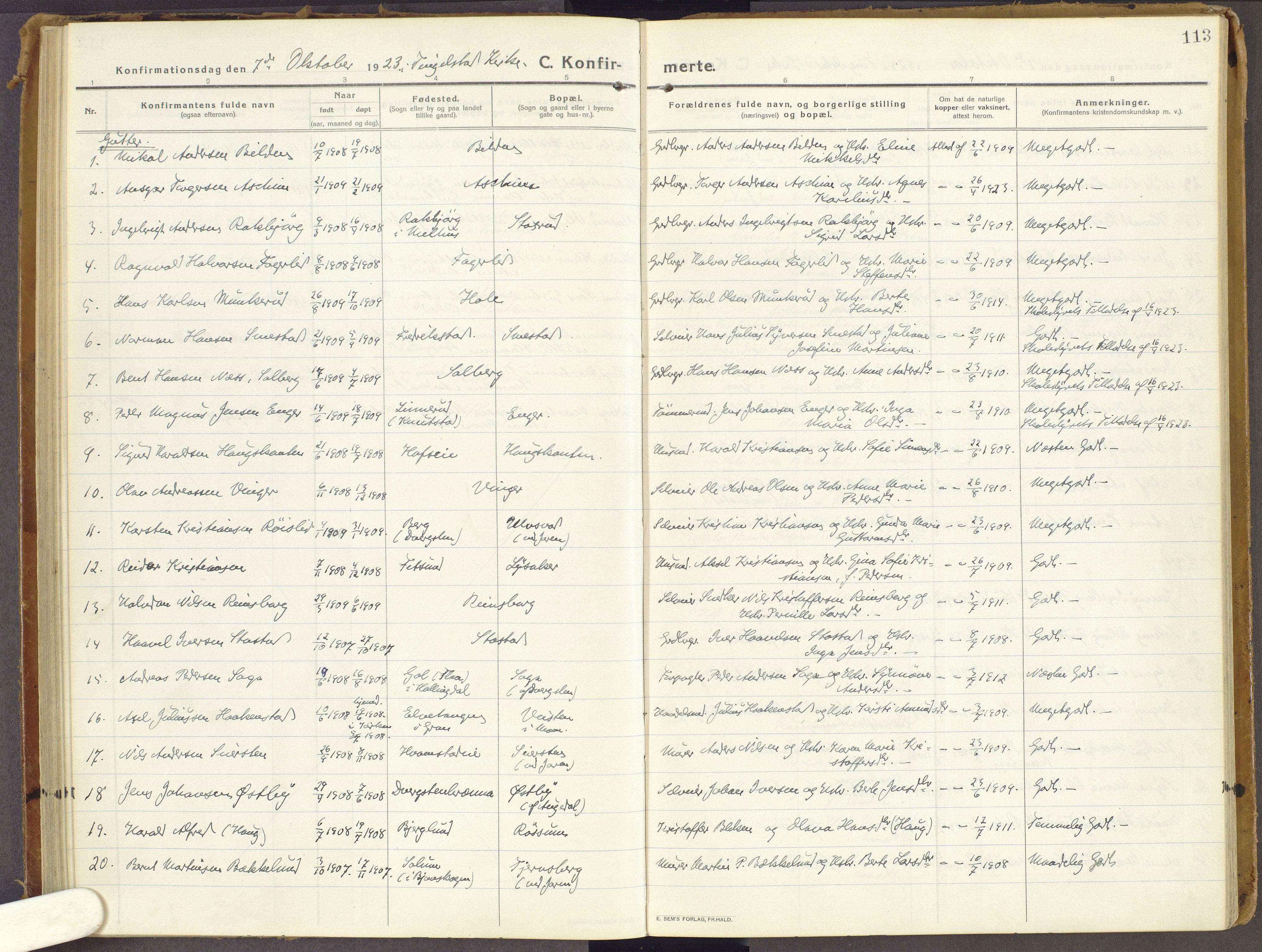 Brandbu prestekontor, SAH/PREST-114/H/Ha/Haa/L0003: Parish register (official) no. 3, 1914-1928, p. 113