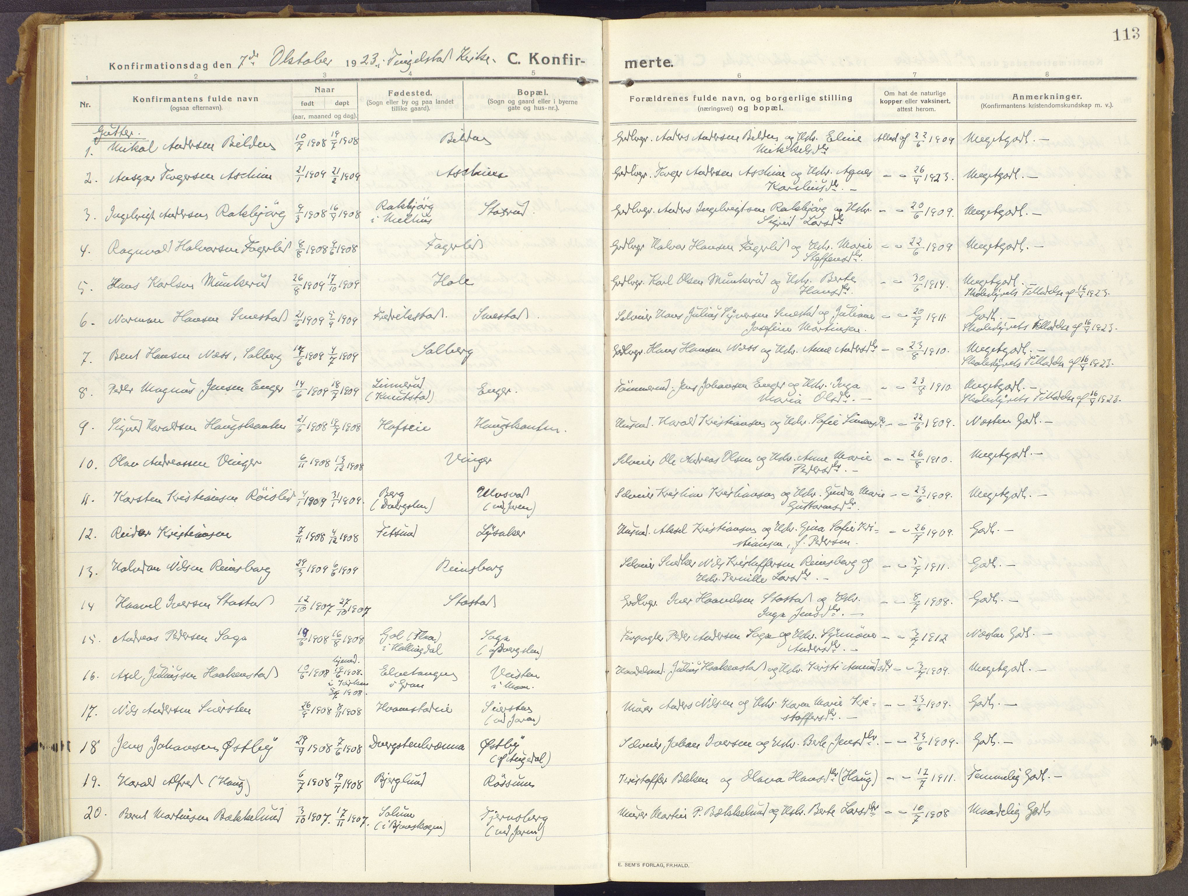 Brandbu prestekontor, AV/SAH-PREST-114/H/Ha/Haa/L0003: Parish register (official) no. 3, 1914-1928, p. 113