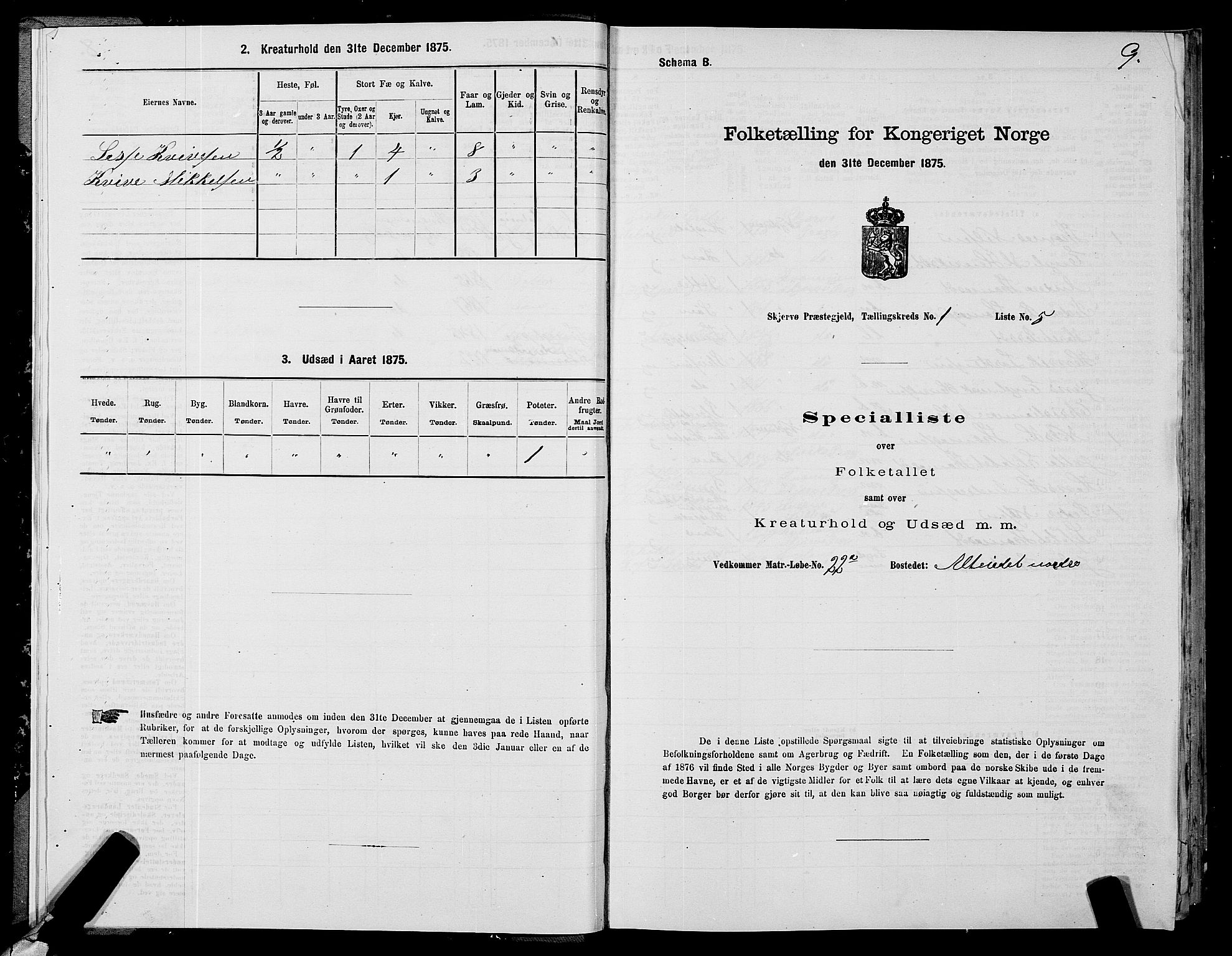 SATØ, 1875 census for 1941P Skjervøy, 1875, p. 1009