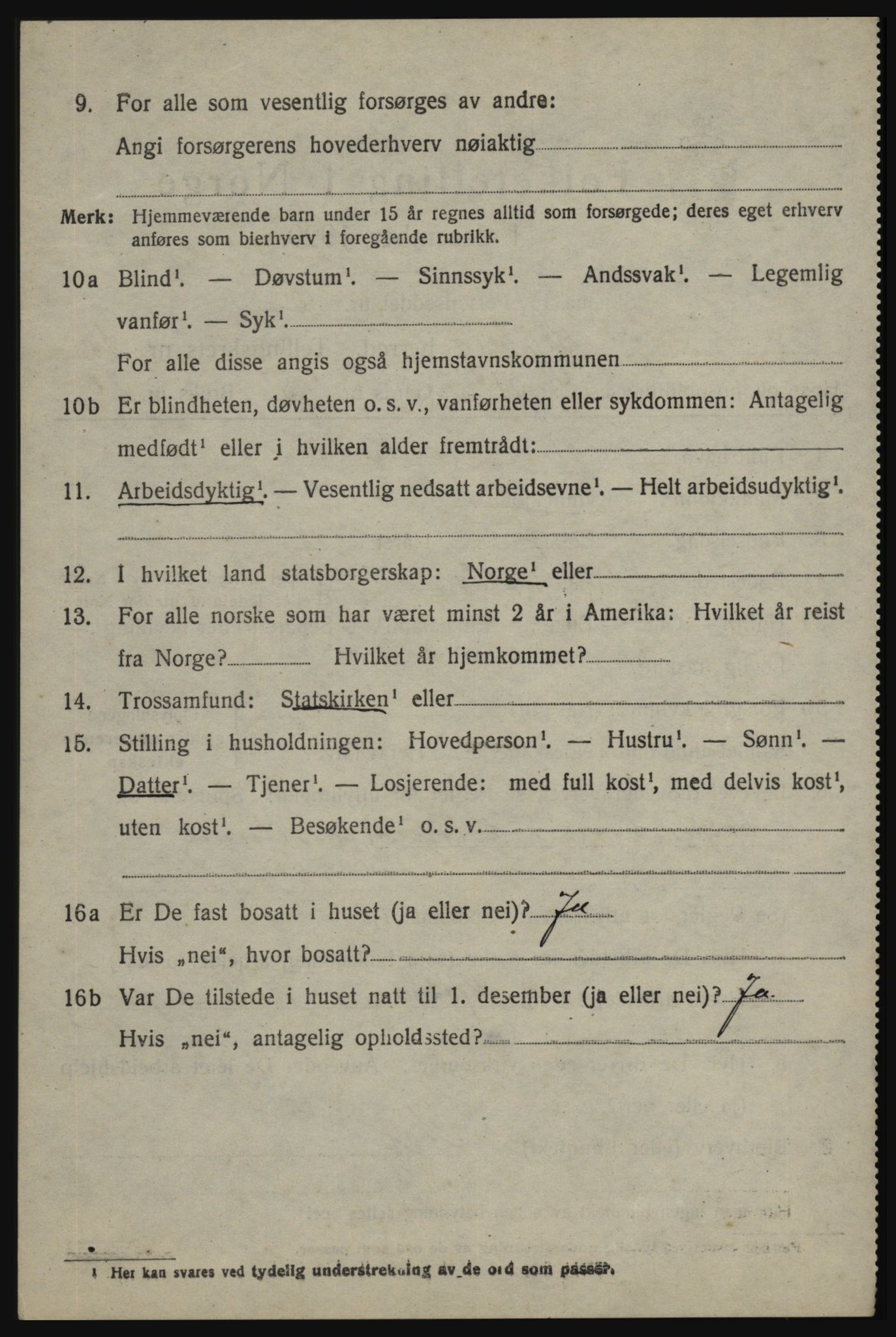 SAO, 1920 census for Skjeberg, 1920, p. 15596