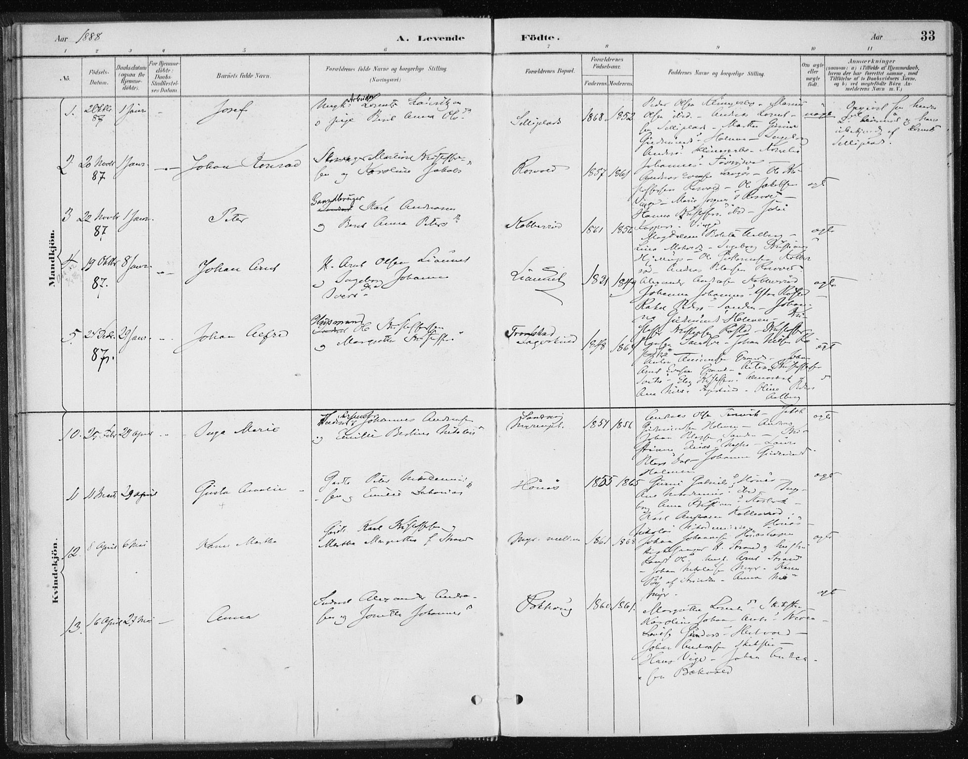 Ministerialprotokoller, klokkerbøker og fødselsregistre - Nord-Trøndelag, AV/SAT-A-1458/701/L0010: Parish register (official) no. 701A10, 1883-1899, p. 33