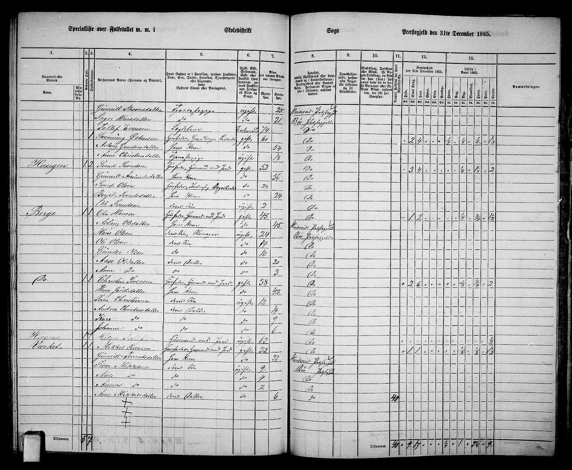 RA, 1865 census for Bø, 1865, p. 203