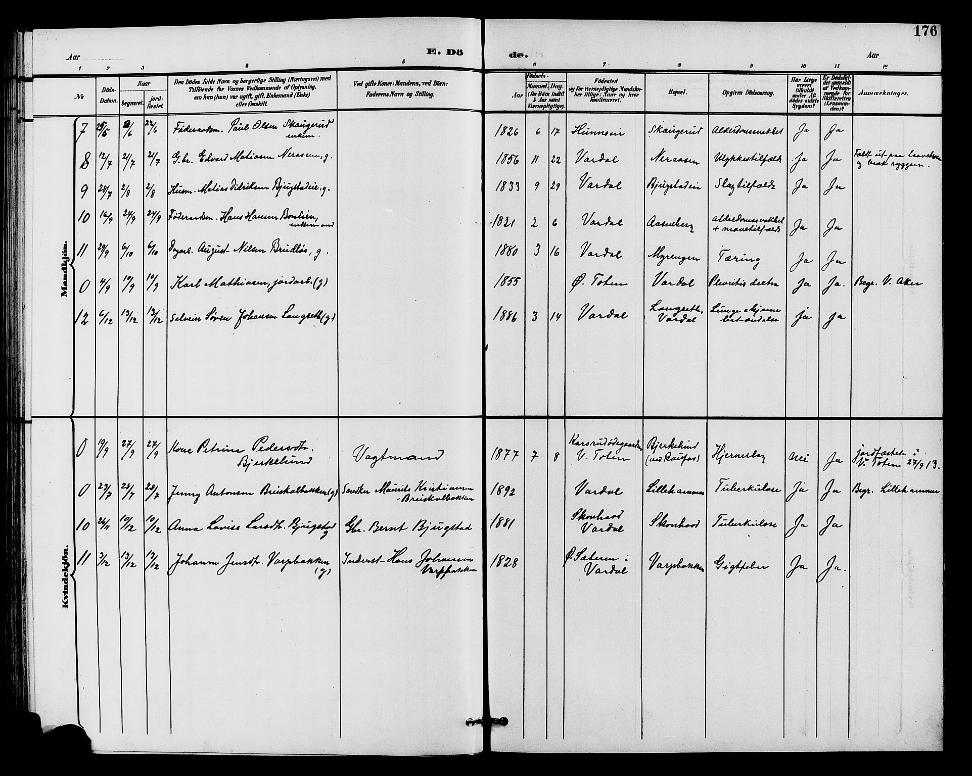 Vardal prestekontor, AV/SAH-PREST-100/H/Ha/Hab/L0011: Parish register (copy) no. 11, 1899-1913, p. 176