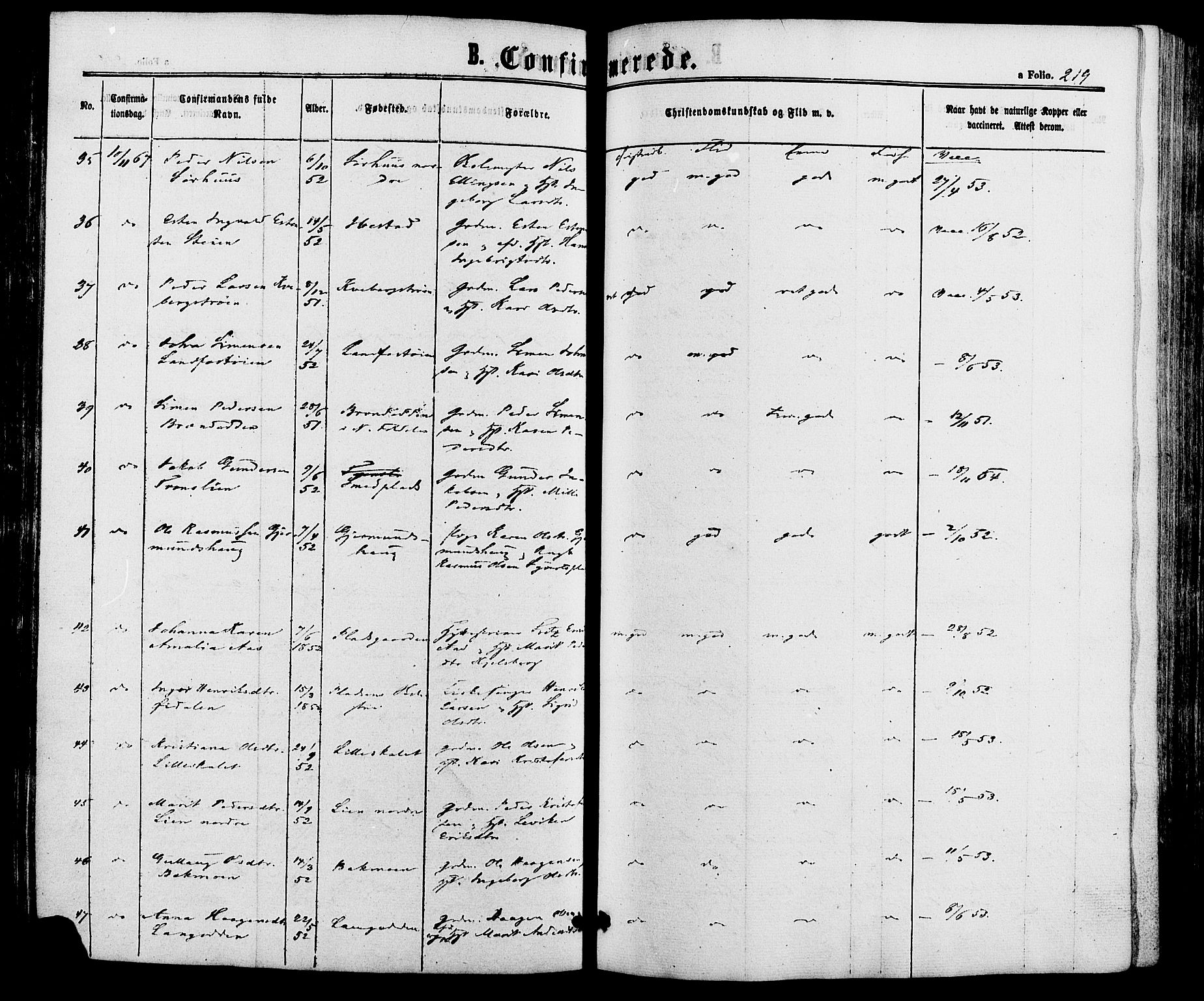 Alvdal prestekontor, AV/SAH-PREST-060/H/Ha/Haa/L0001: Parish register (official) no. 1, 1863-1882, p. 219