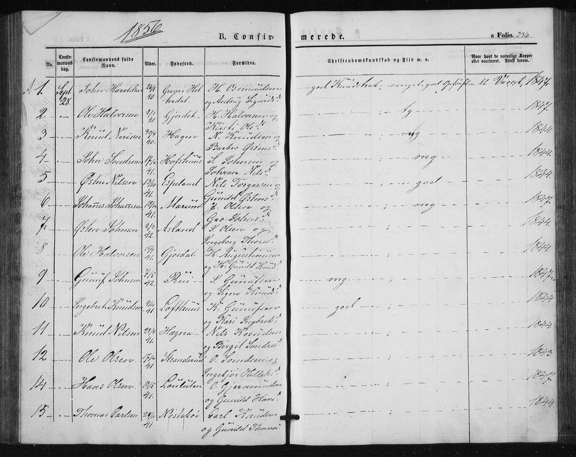 Tinn kirkebøker, SAKO/A-308/F/Fa/L0005: Parish register (official) no. I 5, 1844-1856, p. 236