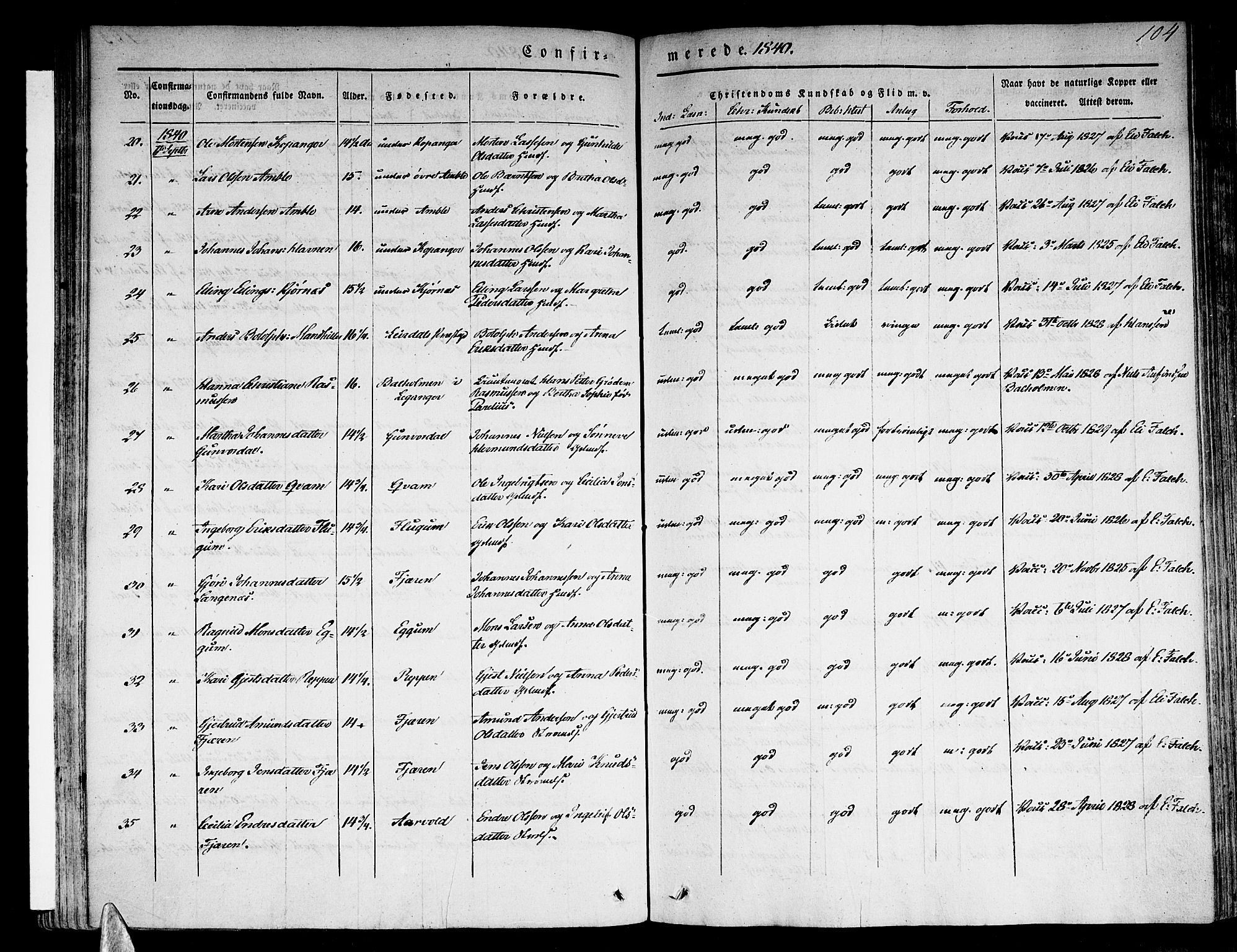 Sogndal sokneprestembete, SAB/A-81301/H/Haa/Haaa/L0011: Parish register (official) no. A 11, 1839-1847, p. 104