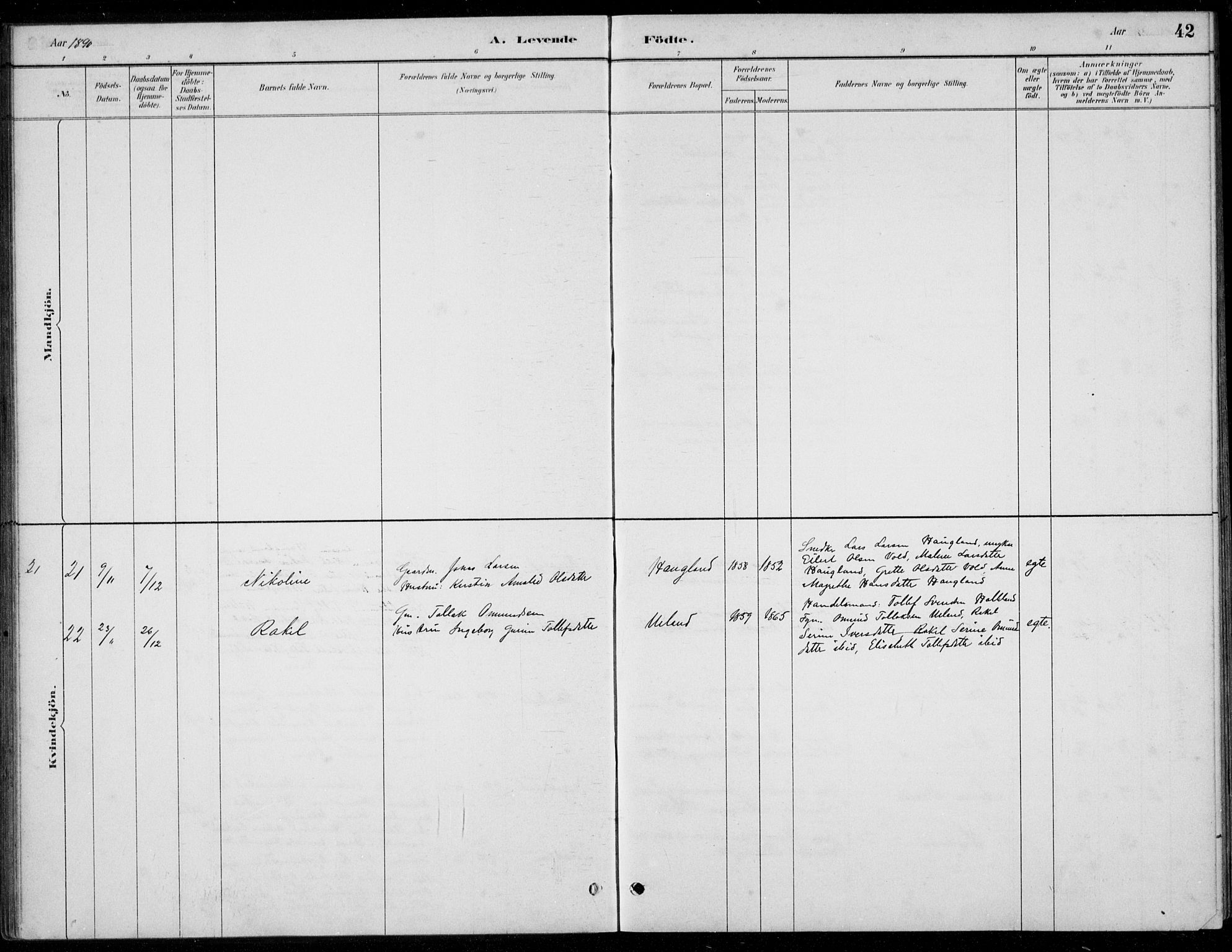 Hå sokneprestkontor, AV/SAST-A-101801/001/30BB/L0004: Parish register (copy) no. B 4, 1883-1899, p. 42