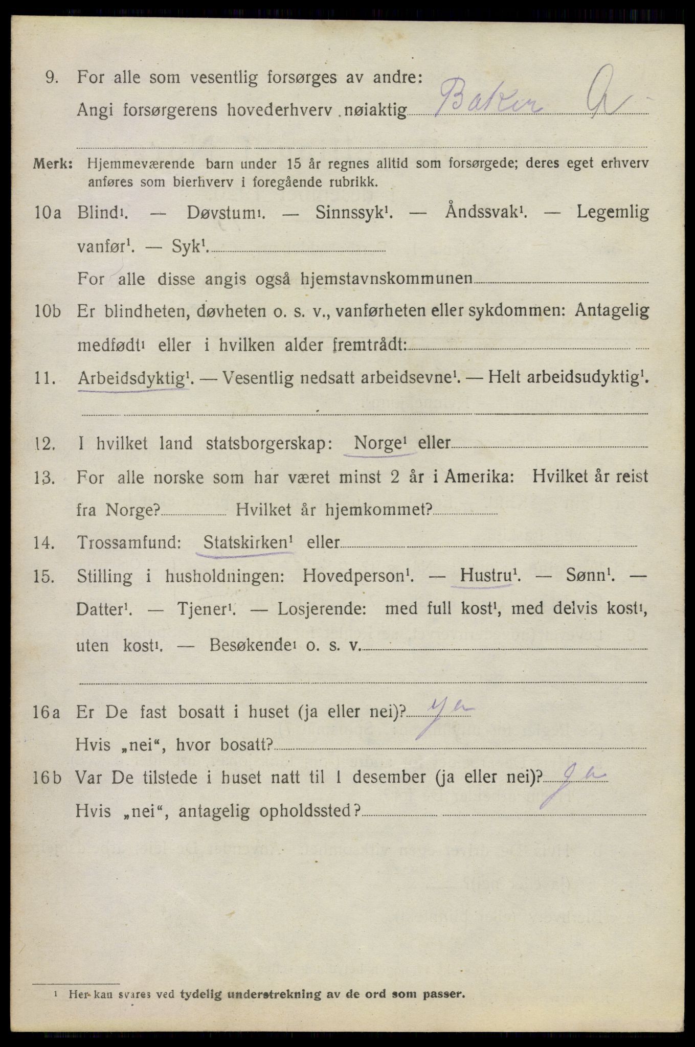 SAO, 1920 census for Asker, 1920, p. 11025