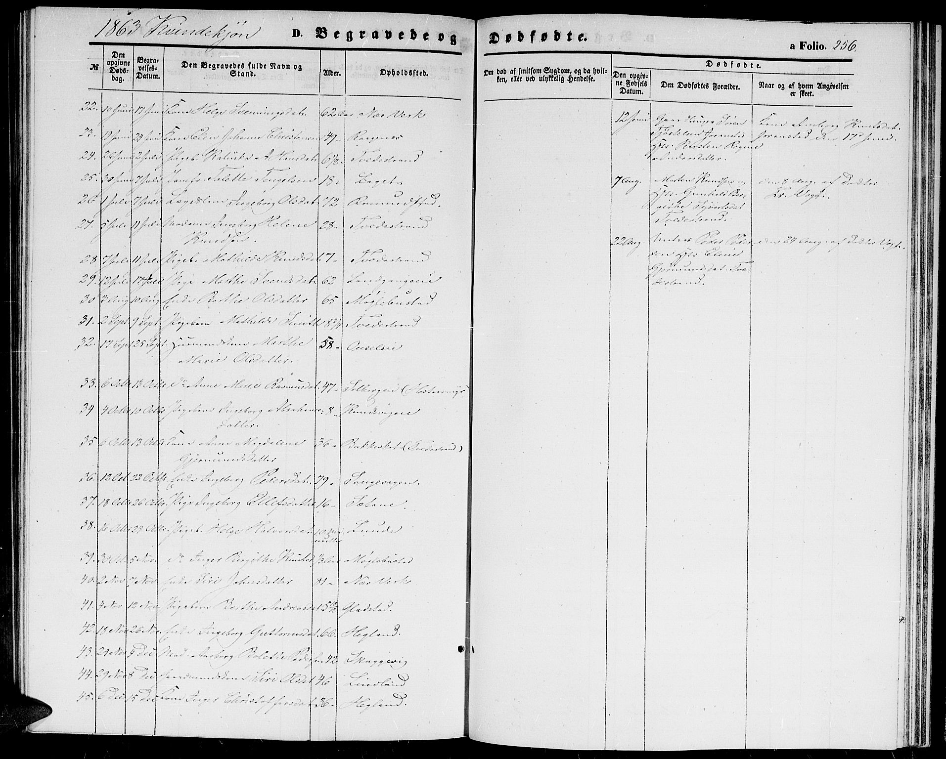 Holt sokneprestkontor, AV/SAK-1111-0021/F/Fb/L0008: Parish register (copy) no. B 8, 1858-1871, p. 256