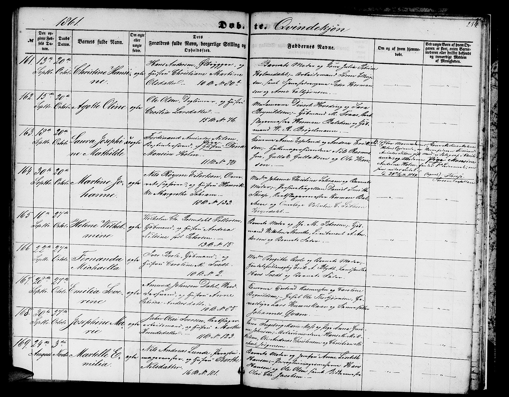Domkirken sokneprestembete, SAB/A-74801/H/Hab/L0011: Parish register (copy) no. B 4, 1856-1862, p. 234