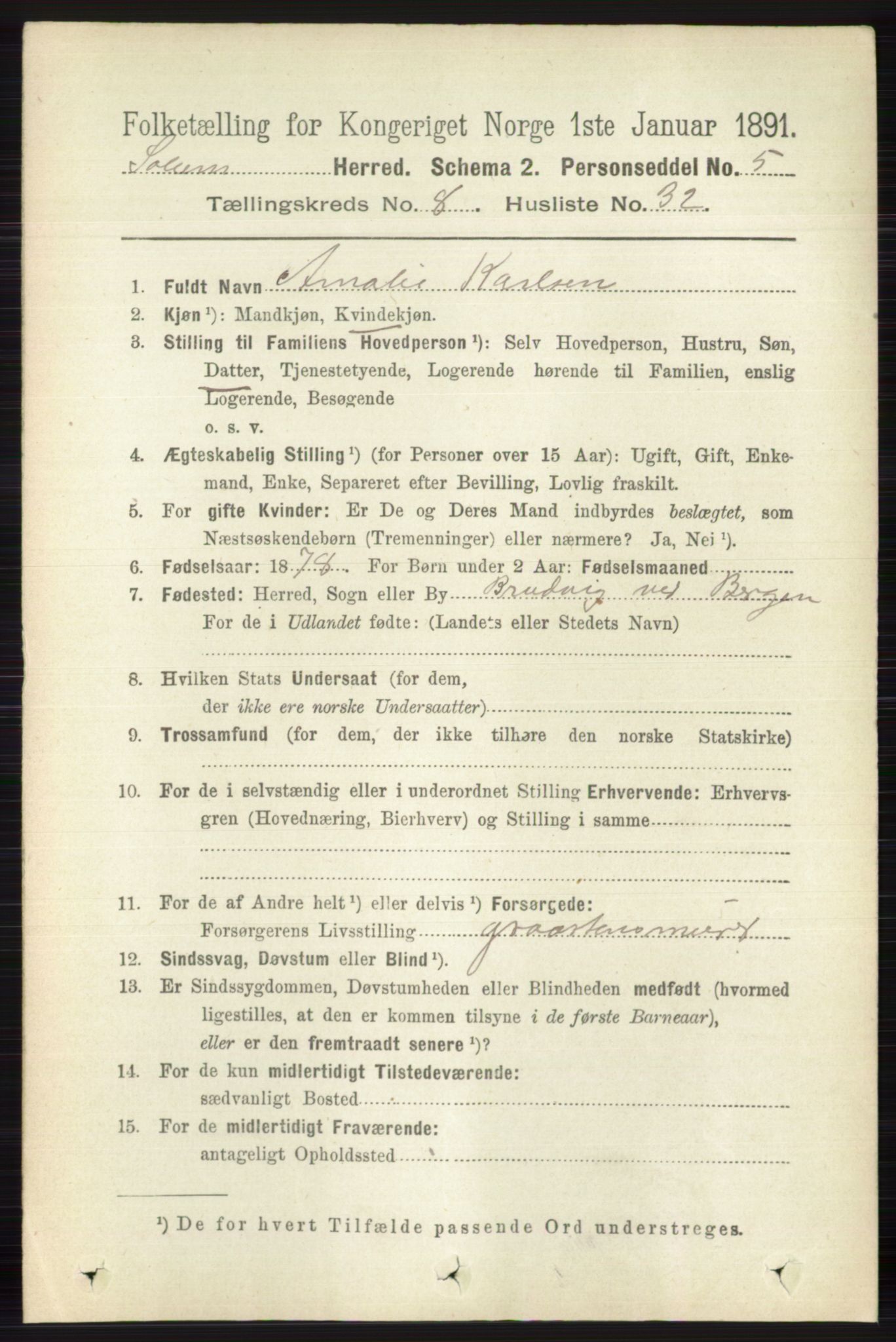 RA, 1891 census for 0818 Solum, 1891, p. 4310