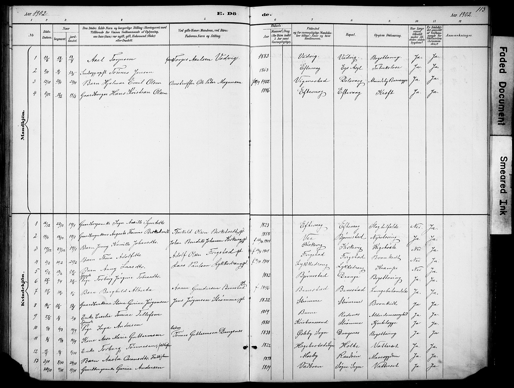 Oddernes sokneprestkontor, SAK/1111-0033/F/Fb/Fbb/L0002: Parish register (copy) no. B 2, 1889-1933, p. 113