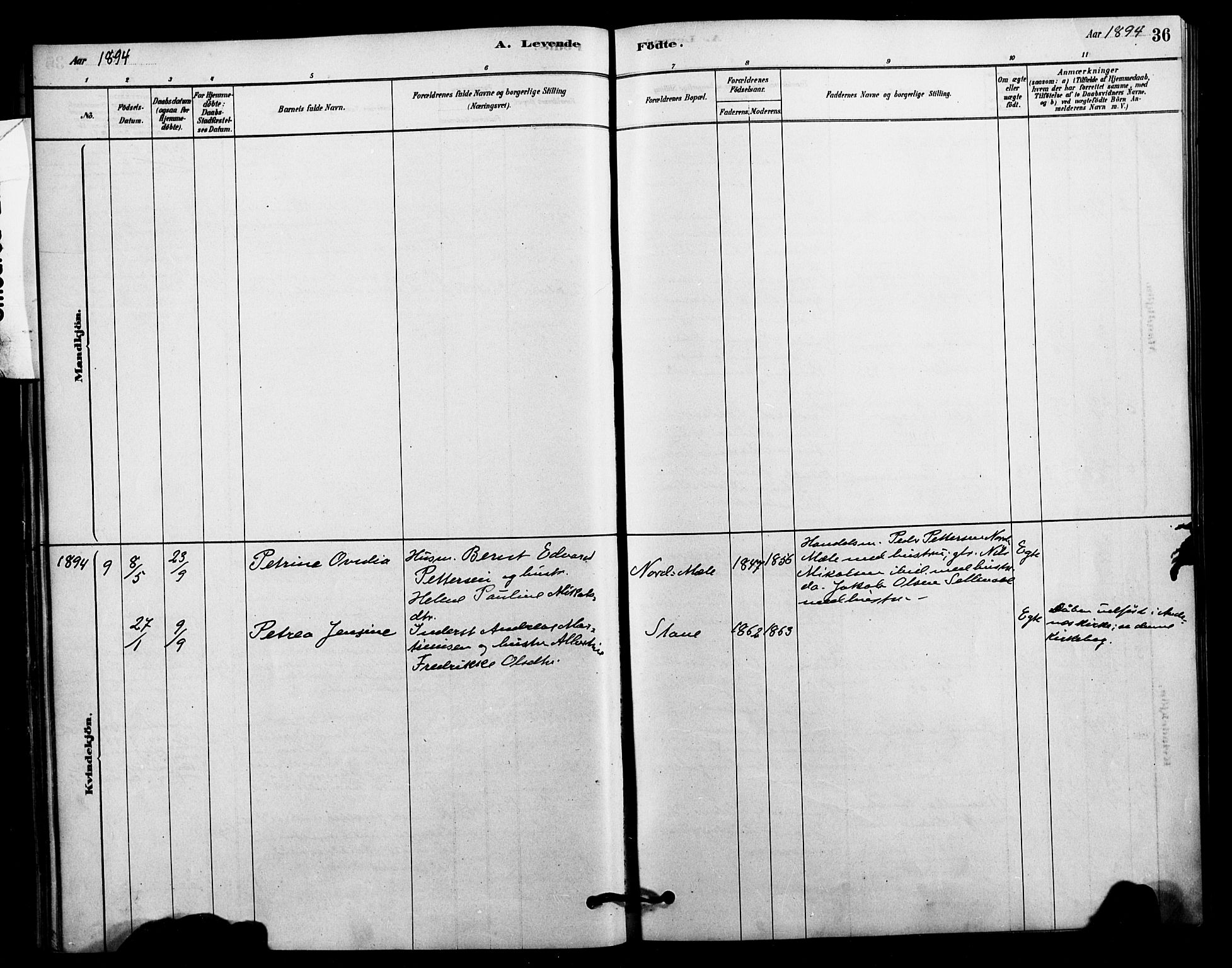 Ministerialprotokoller, klokkerbøker og fødselsregistre - Nordland, AV/SAT-A-1459/897/L1399: Parish register (official) no. 897C06, 1881-1896, p. 36