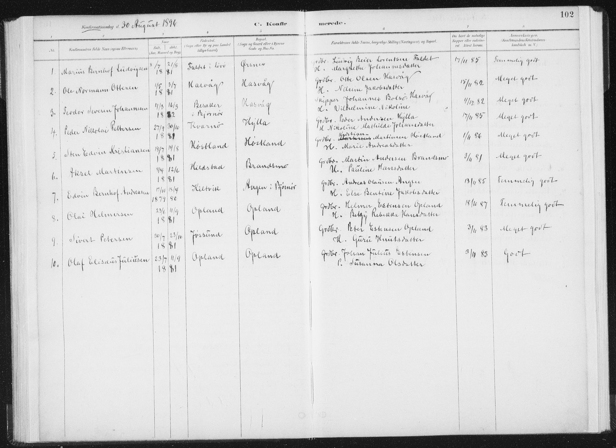 Ministerialprotokoller, klokkerbøker og fødselsregistre - Nord-Trøndelag, SAT/A-1458/771/L0597: Parish register (official) no. 771A04, 1885-1910, p. 102