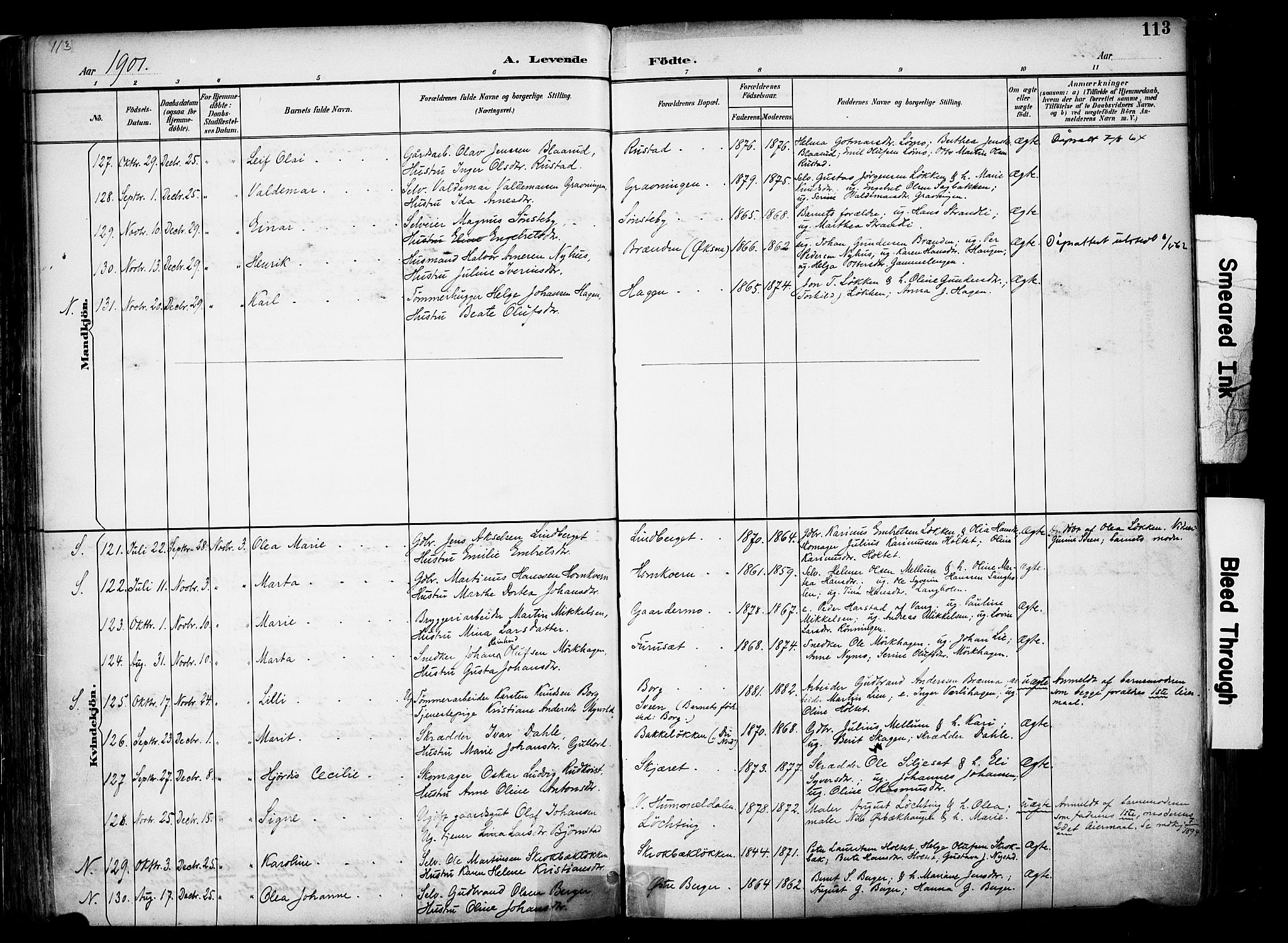 Elverum prestekontor, AV/SAH-PREST-044/H/Ha/Haa/L0014: Parish register (official) no. 14, 1891-1909, p. 113