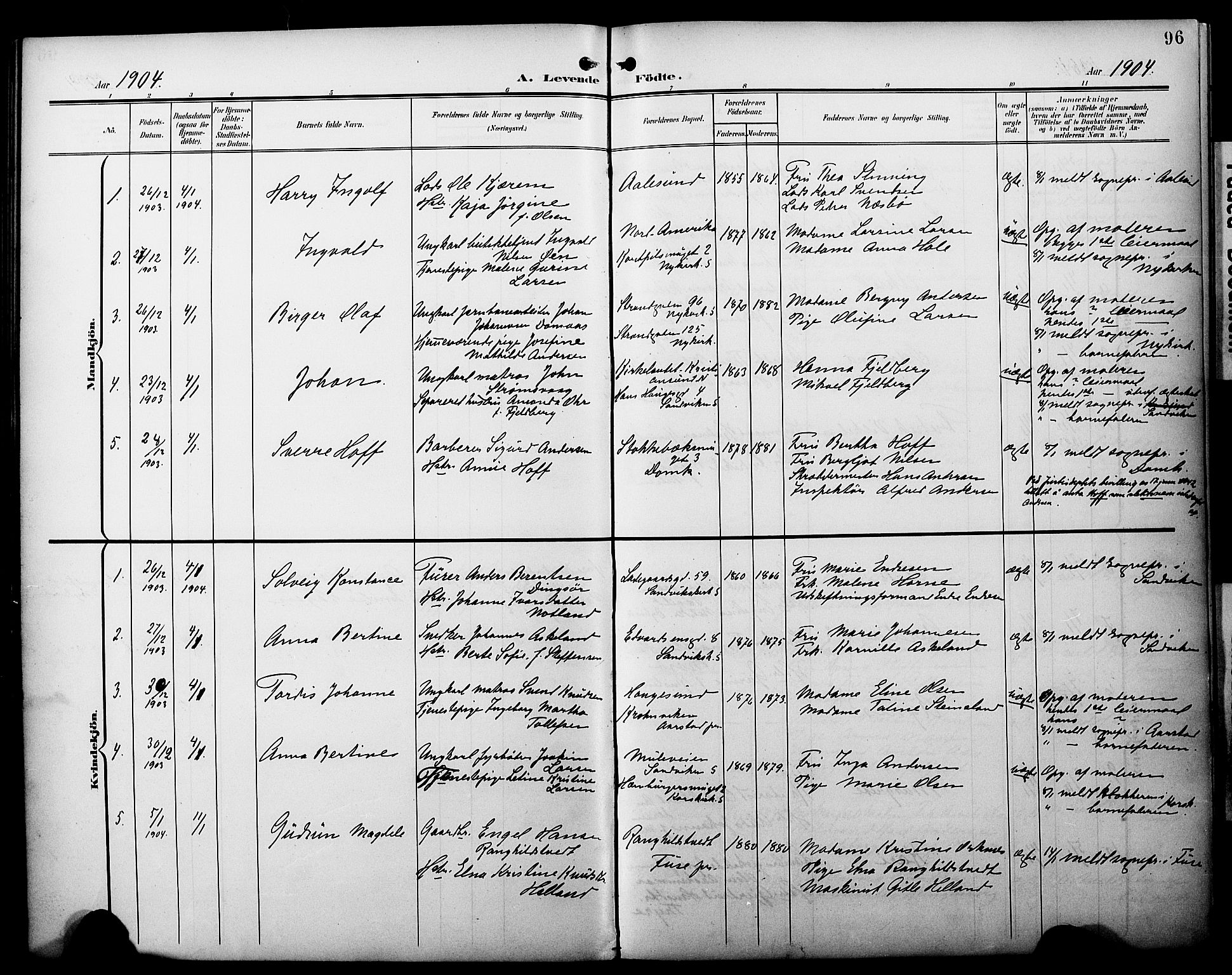 Fødselsstiftelsens sokneprestembete*, SAB/-: Parish register (official) no. A 3, 1901-1910, p. 96