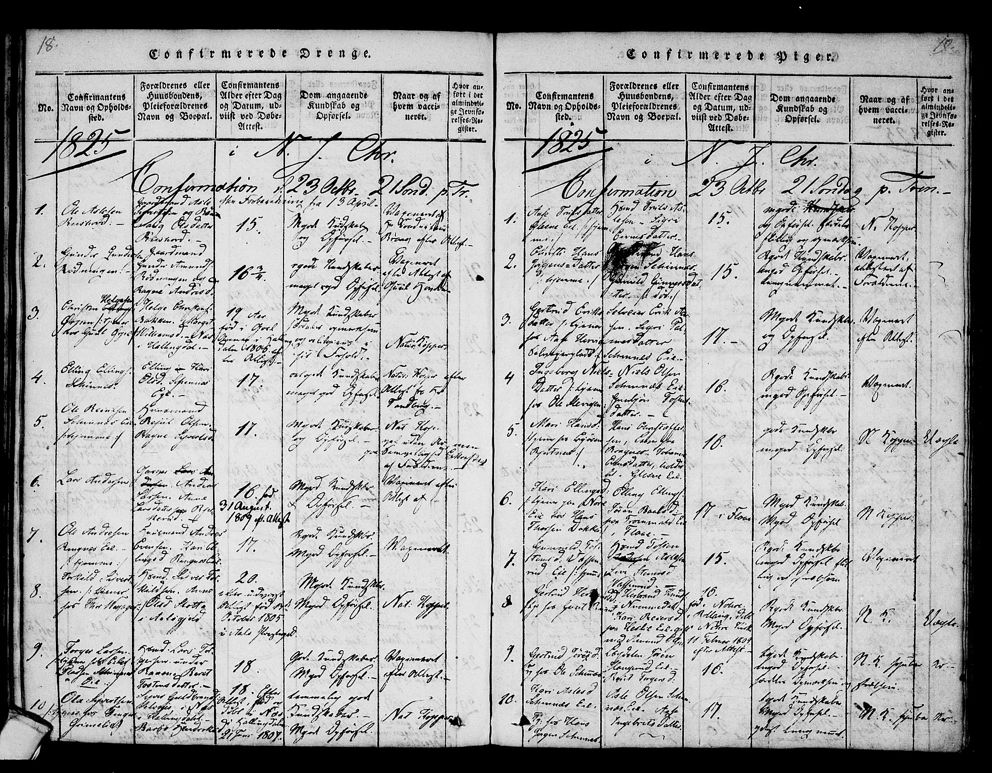 Krødsherad kirkebøker, SAKO/A-19/F/Fa/L0001: Parish register (official) no. 1, 1815-1829, p. 18-19