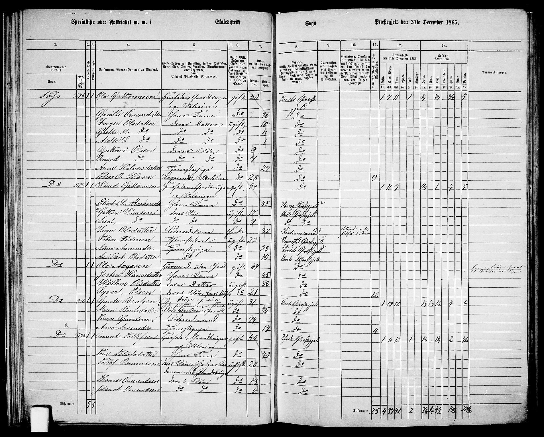 RA, 1865 census for Tveit, 1865, p. 35