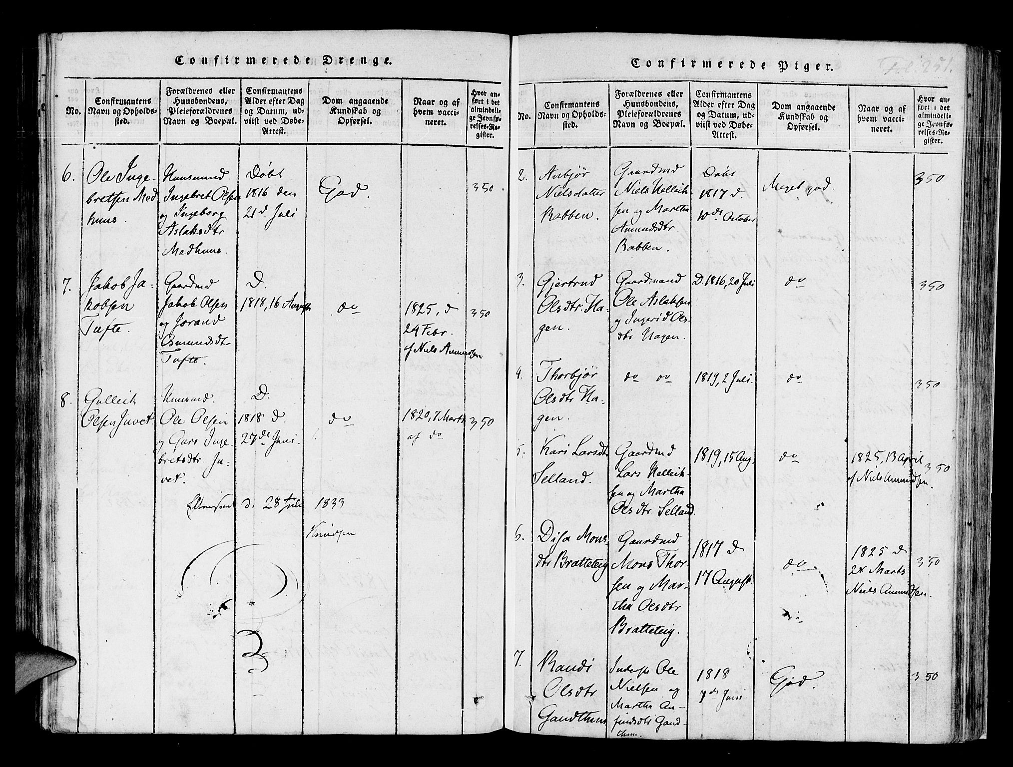 Røldal sokneprestembete, SAB/A-100247: Parish register (official) no. A 2, 1817-1856, p. 251