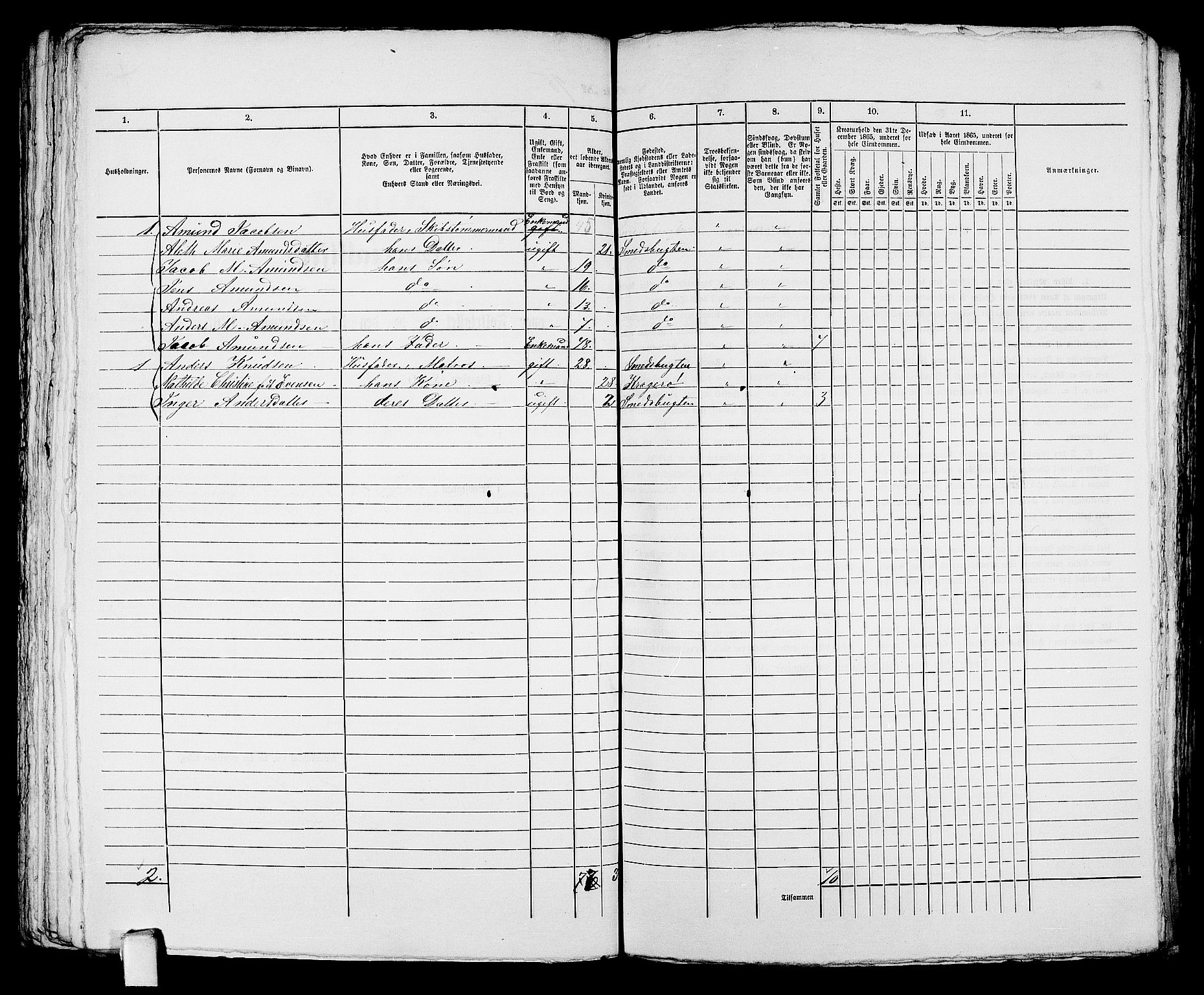 RA, 1865 census for Kragerø/Kragerø, 1865, p. 202