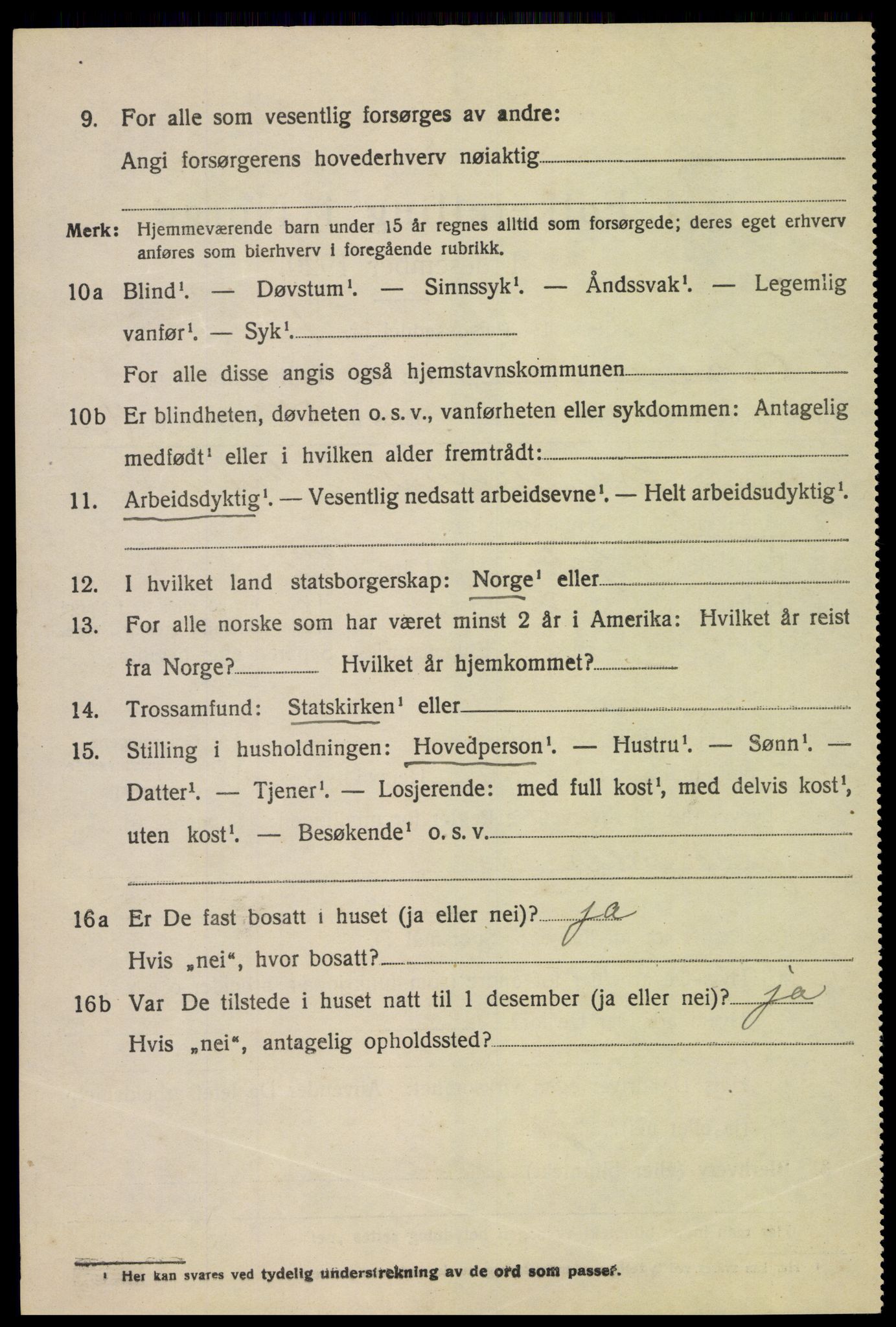 SAH, 1920 census for Lom, 1920, p. 3393