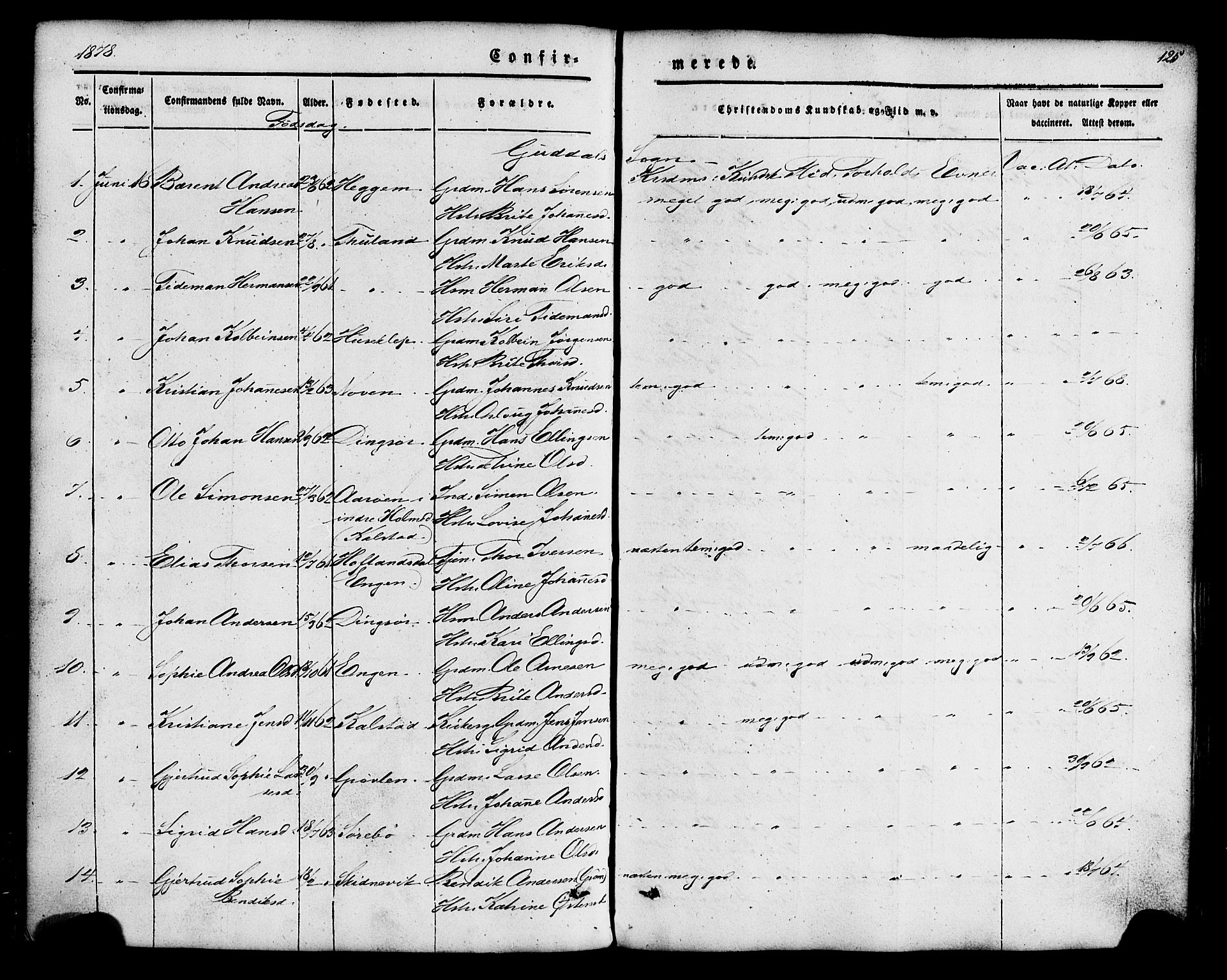 Fjaler sokneprestembete, SAB/A-79801/H/Haa/Haaa/L0008: Parish register (official) no. A 8, 1850-1886, p. 125