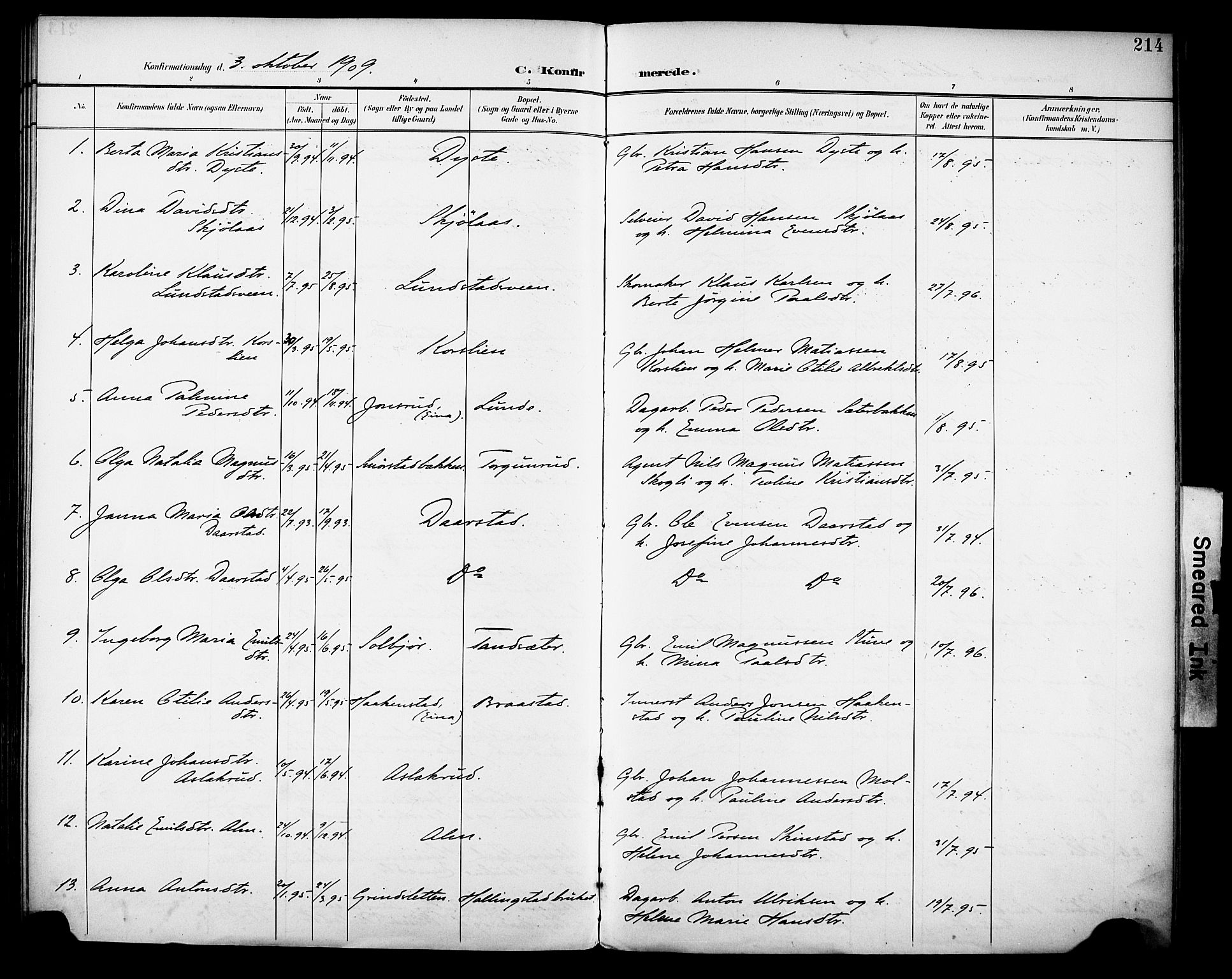 Vestre Toten prestekontor, AV/SAH-PREST-108/H/Ha/Haa/L0013: Parish register (official) no. 13, 1895-1911, p. 214