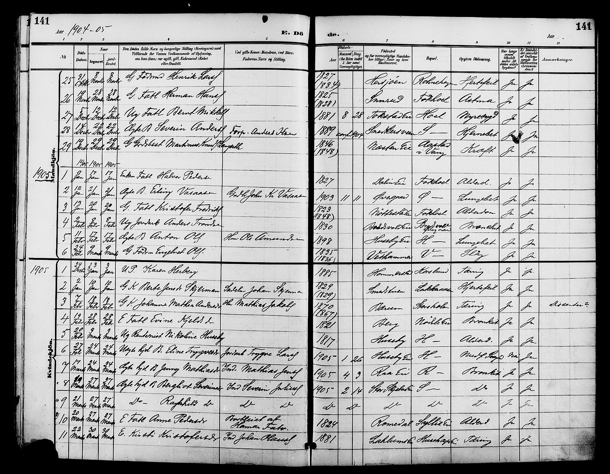 Stange prestekontor, SAH/PREST-002/L/L0012: Parish register (copy) no. 12, 1900-1908, p. 141
